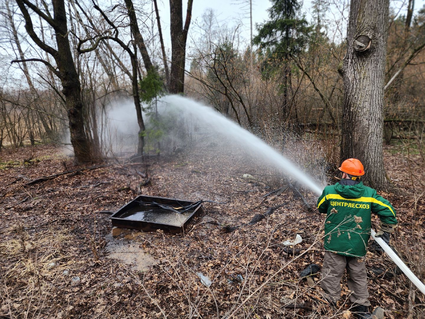фрязино, пожарные учения, пожароопасный сезон, мчс, лесная охрана,