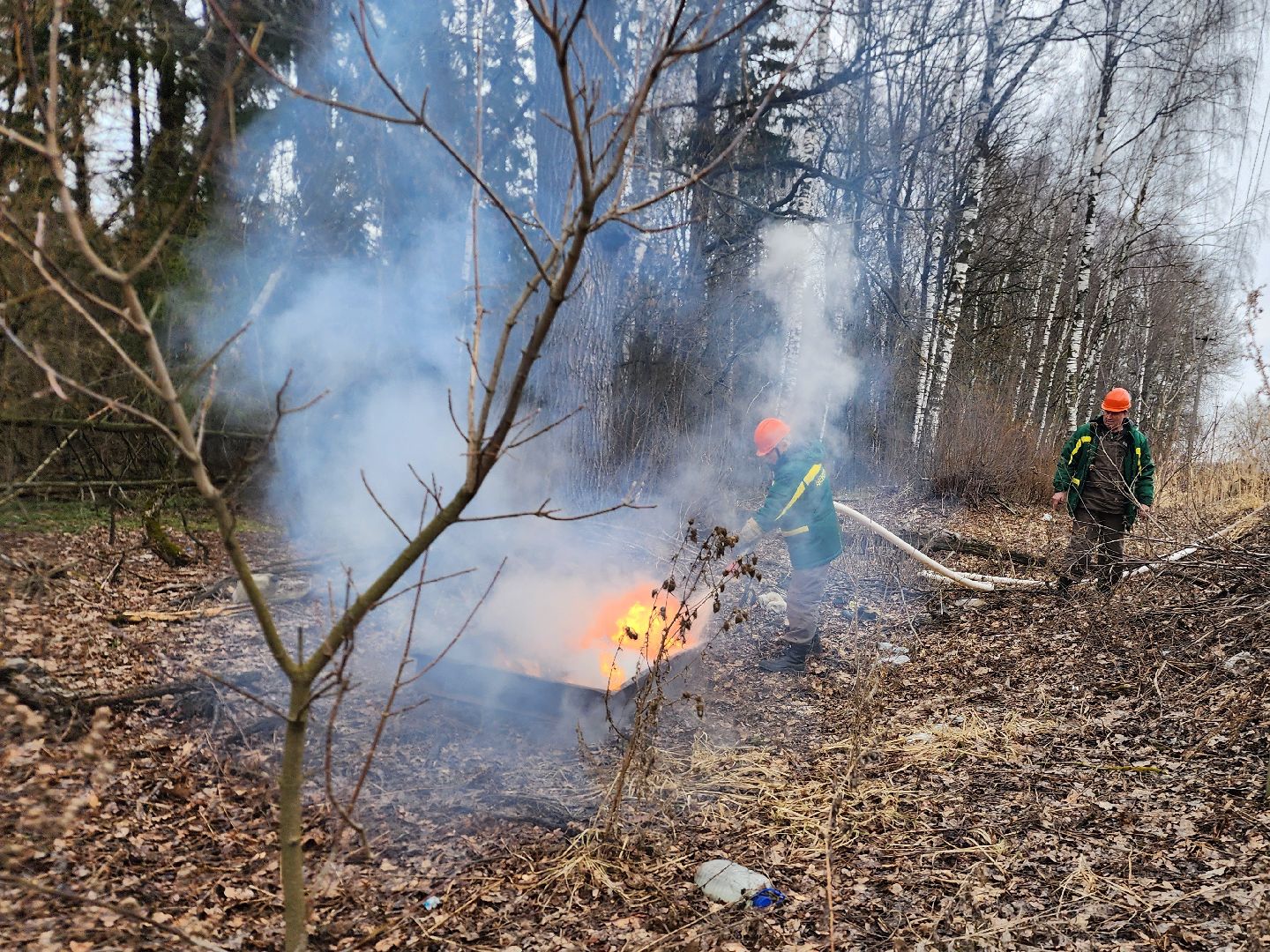 фрязино, пожарные учения, пожароопасный сезон, мчс, лесная охрана,
