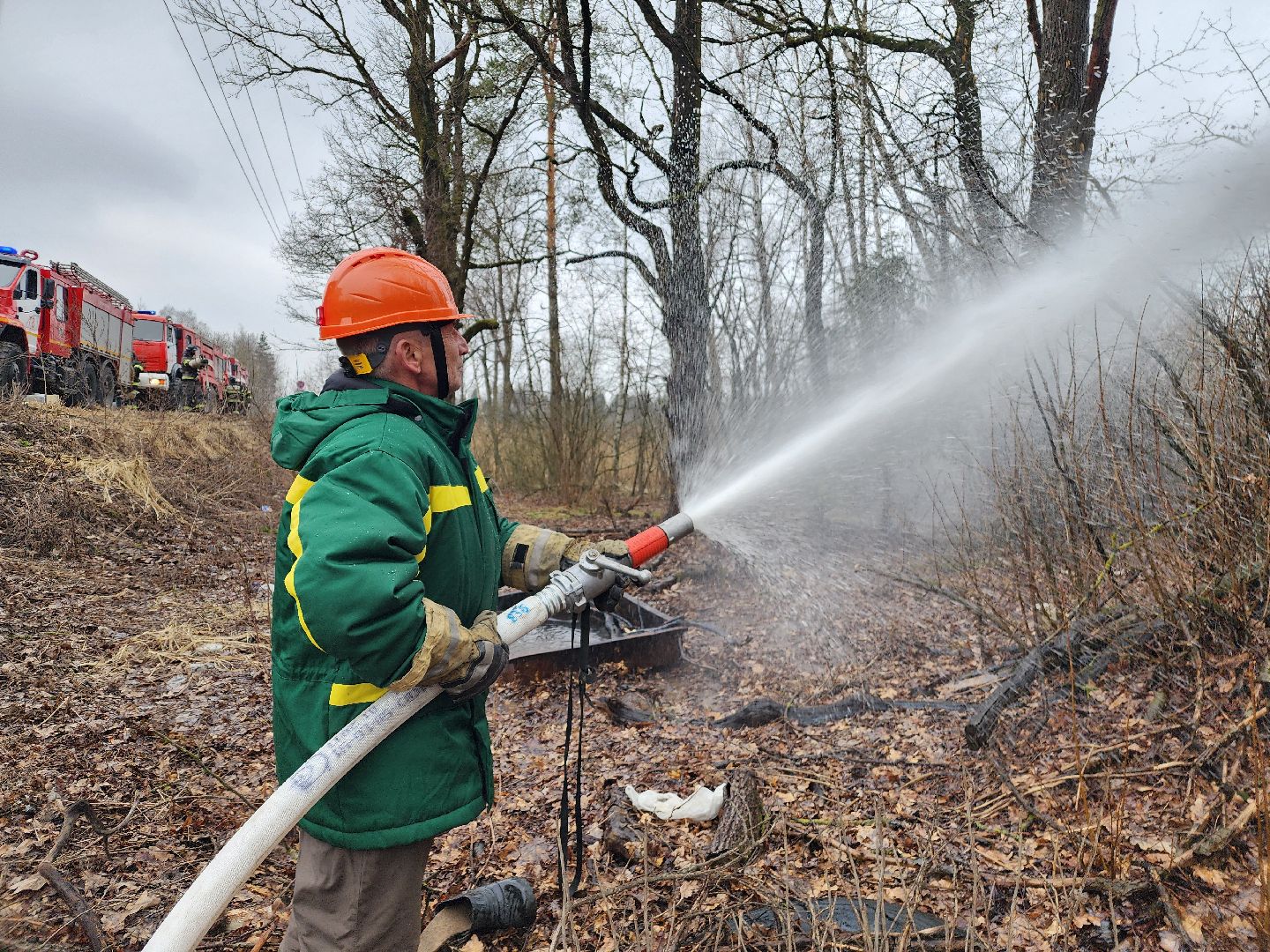 фрязино, пожарные учения, пожароопасный сезон, мчс, лесная охрана,