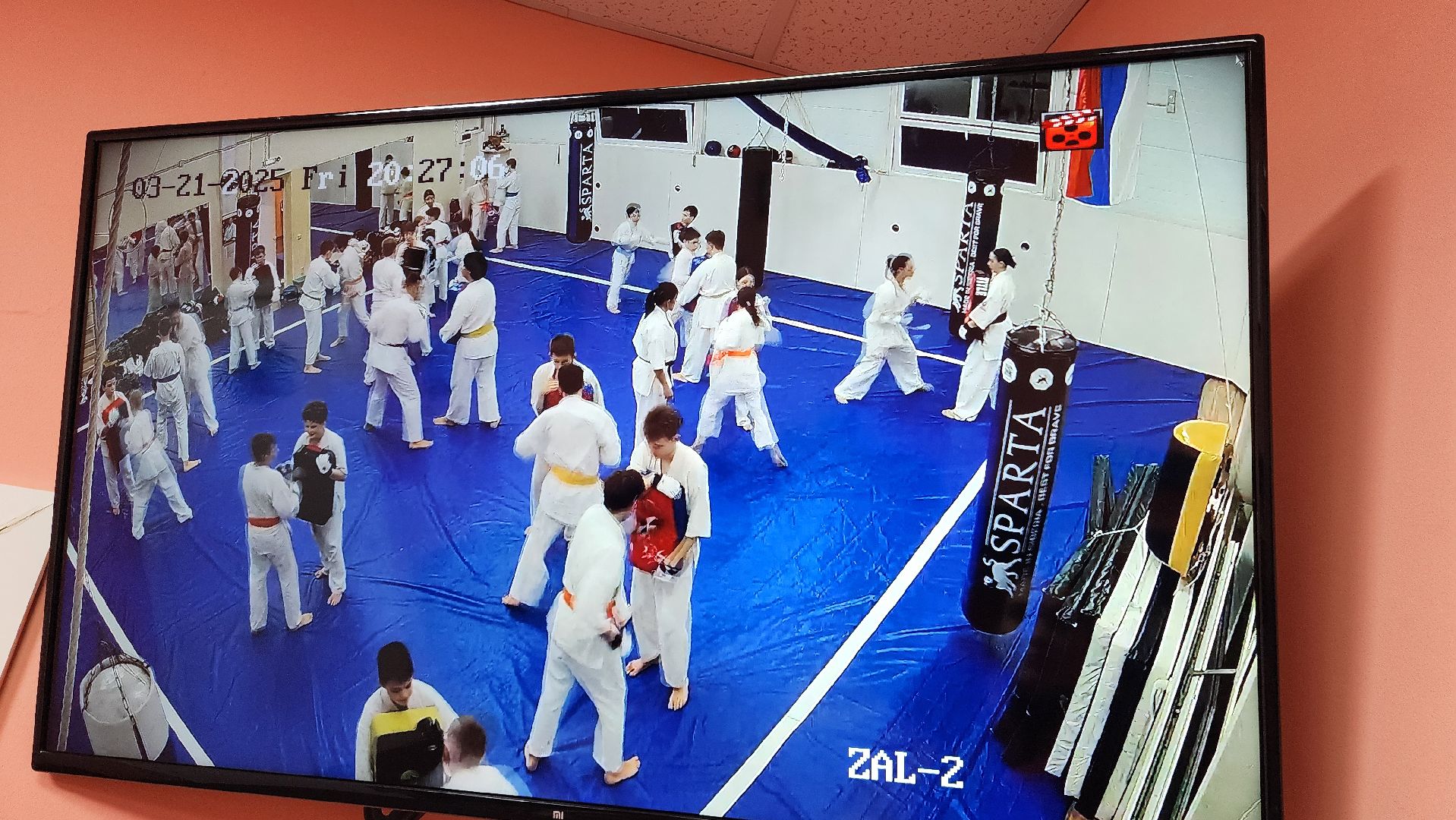 спорт, мастер спорта, россия, домодедово, карате, подмосковье, чемпион, бокс, боевые искусства,