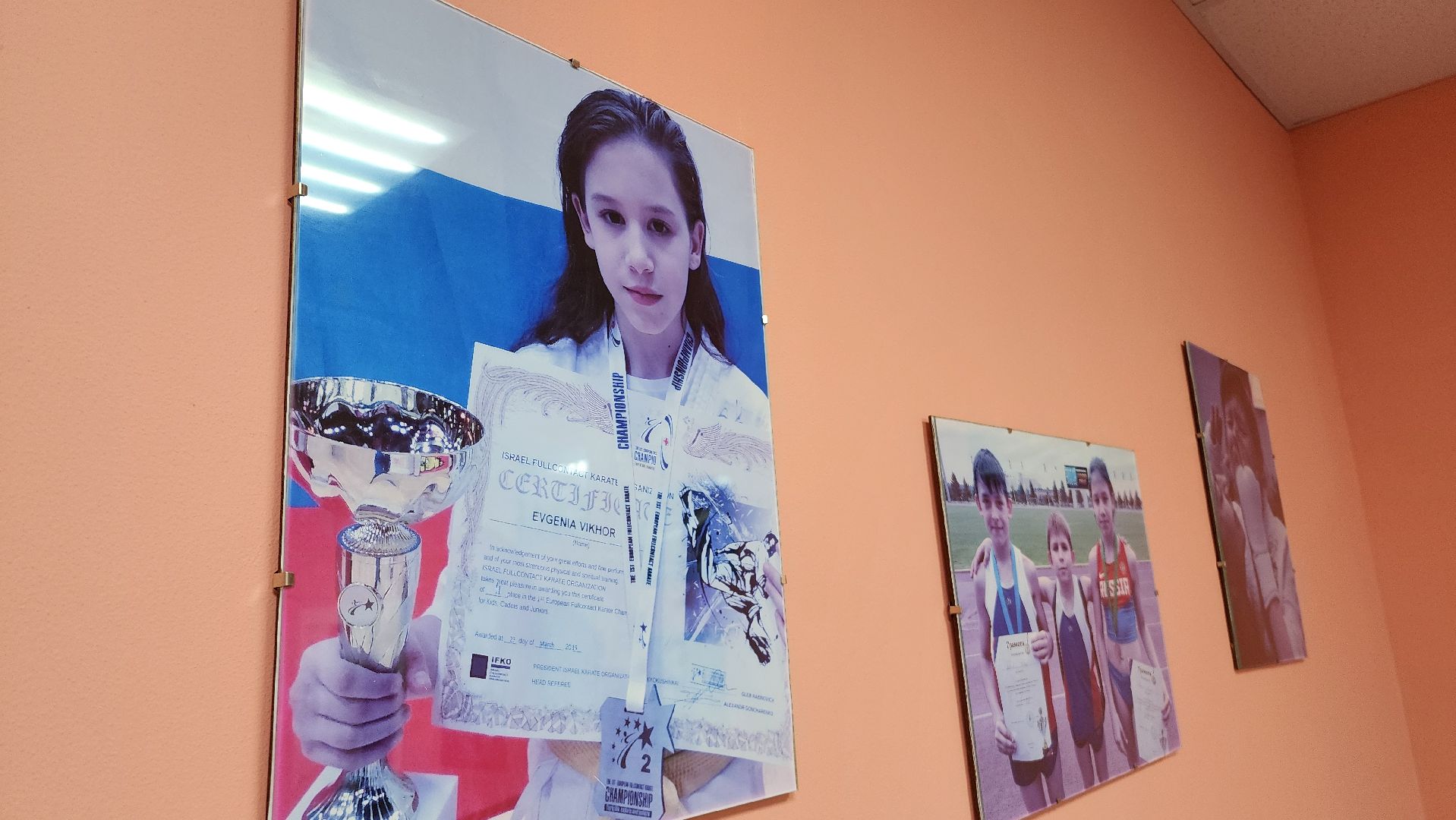 спорт, мастер спорта, россия, домодедово, карате, подмосковье, чемпион, бокс, боевые искусства,