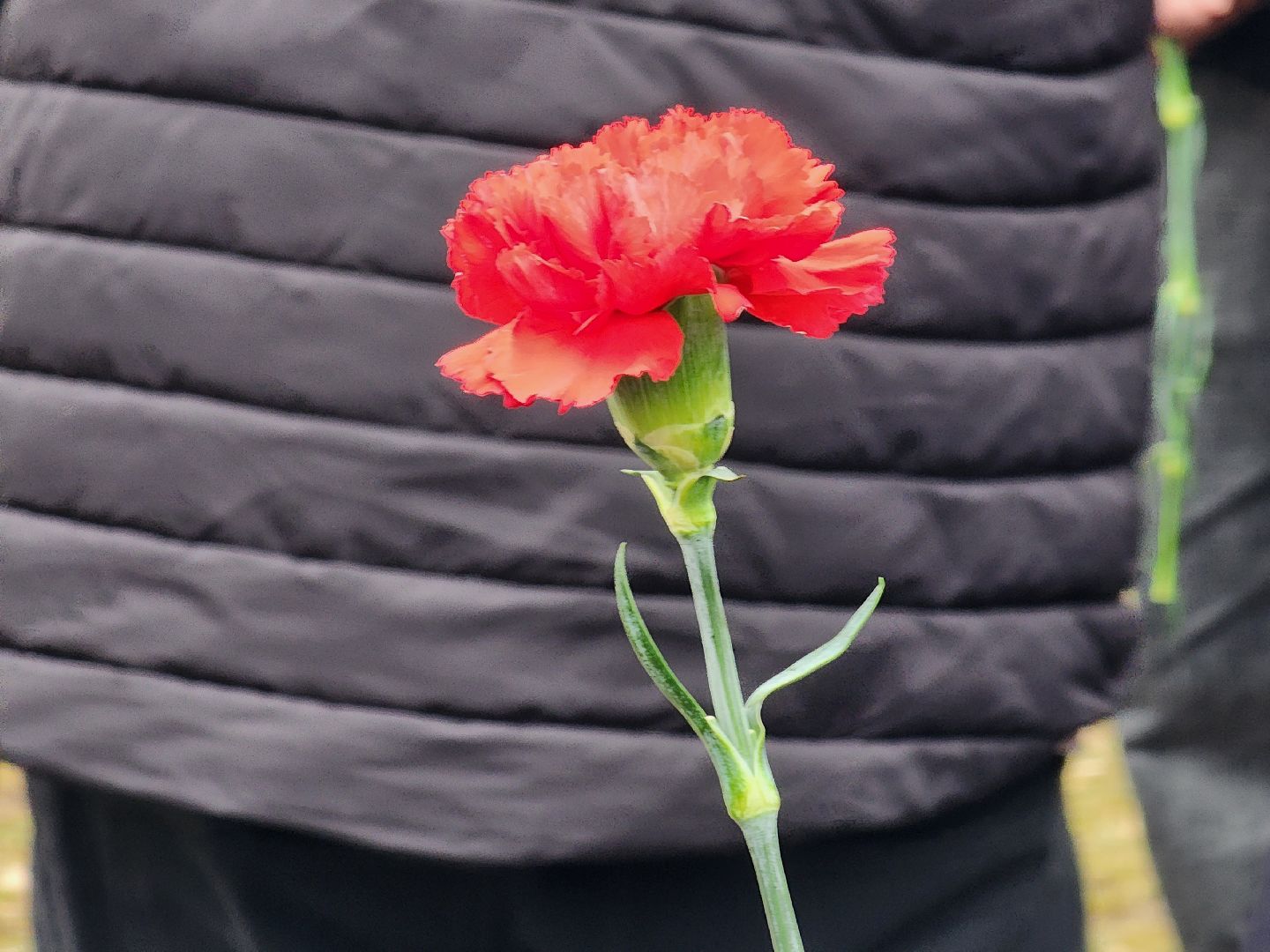 королёв, память, великая отечественная война, мемориальная доска,