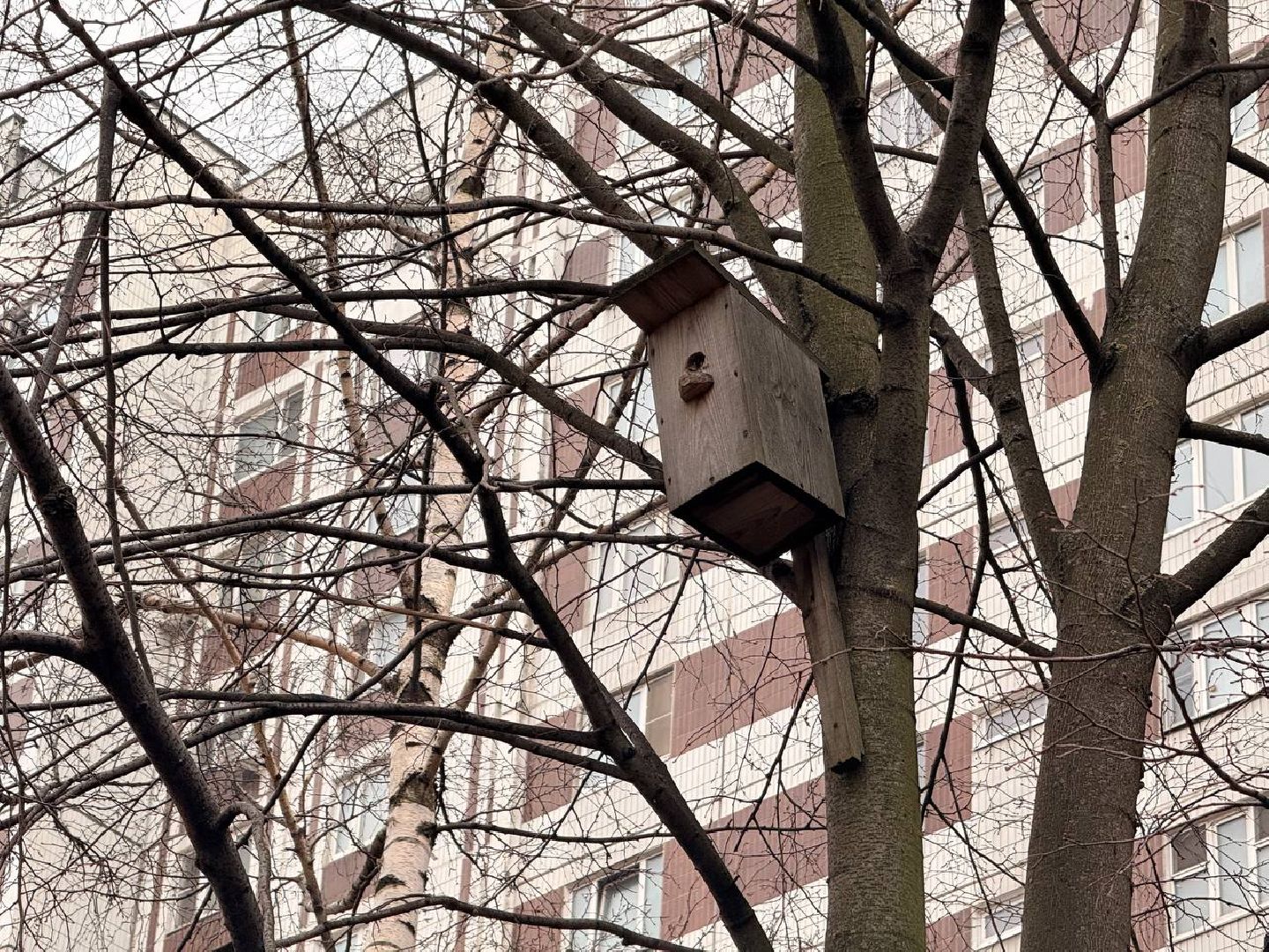 реутов, благоустройство, каштановый сквер, детская площадка, видеонаблюдение,