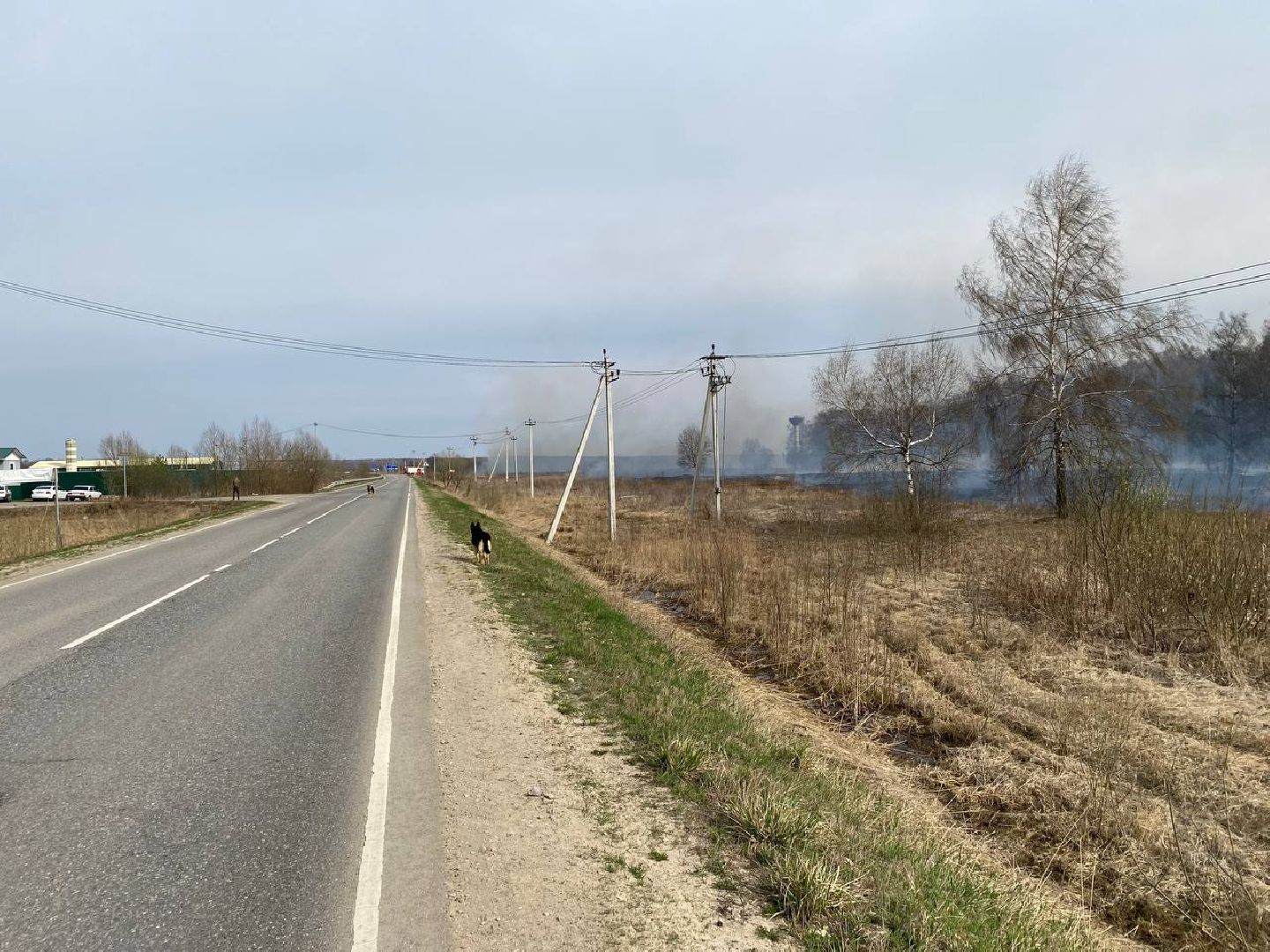 Ступино, пал травы, лесничие, мособллес