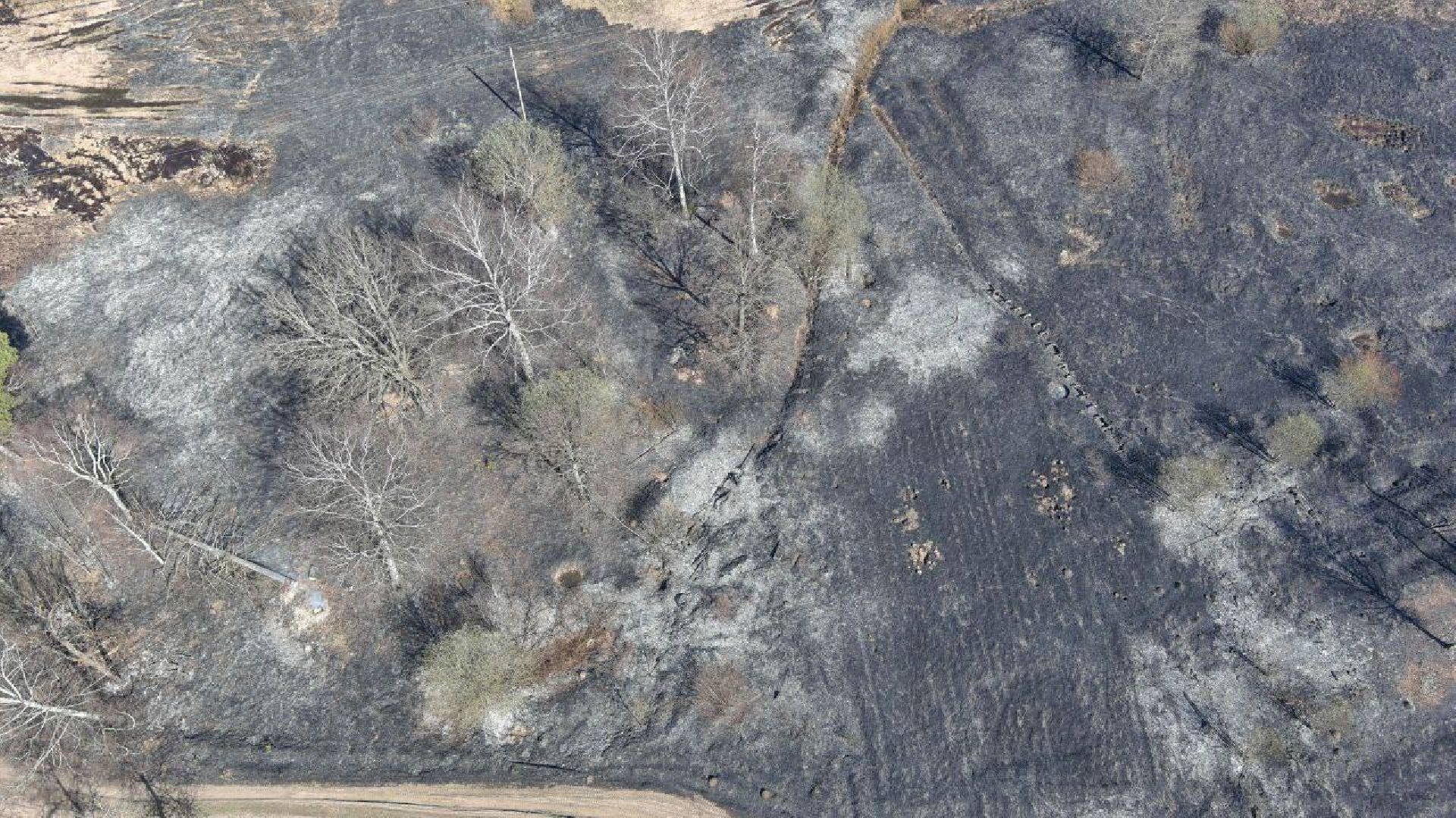 Ступино, пал травы, лесничие, мособллес