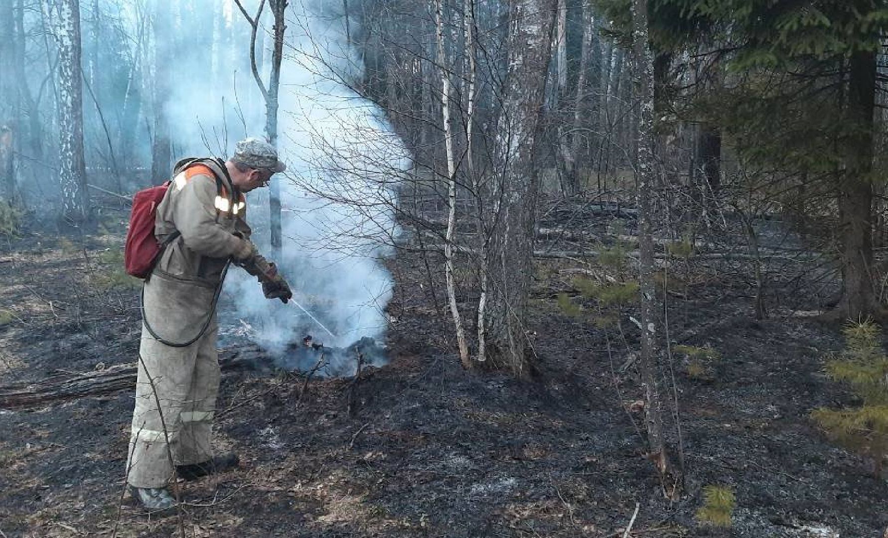 Ступино, пал травы, лесничие, мособллес