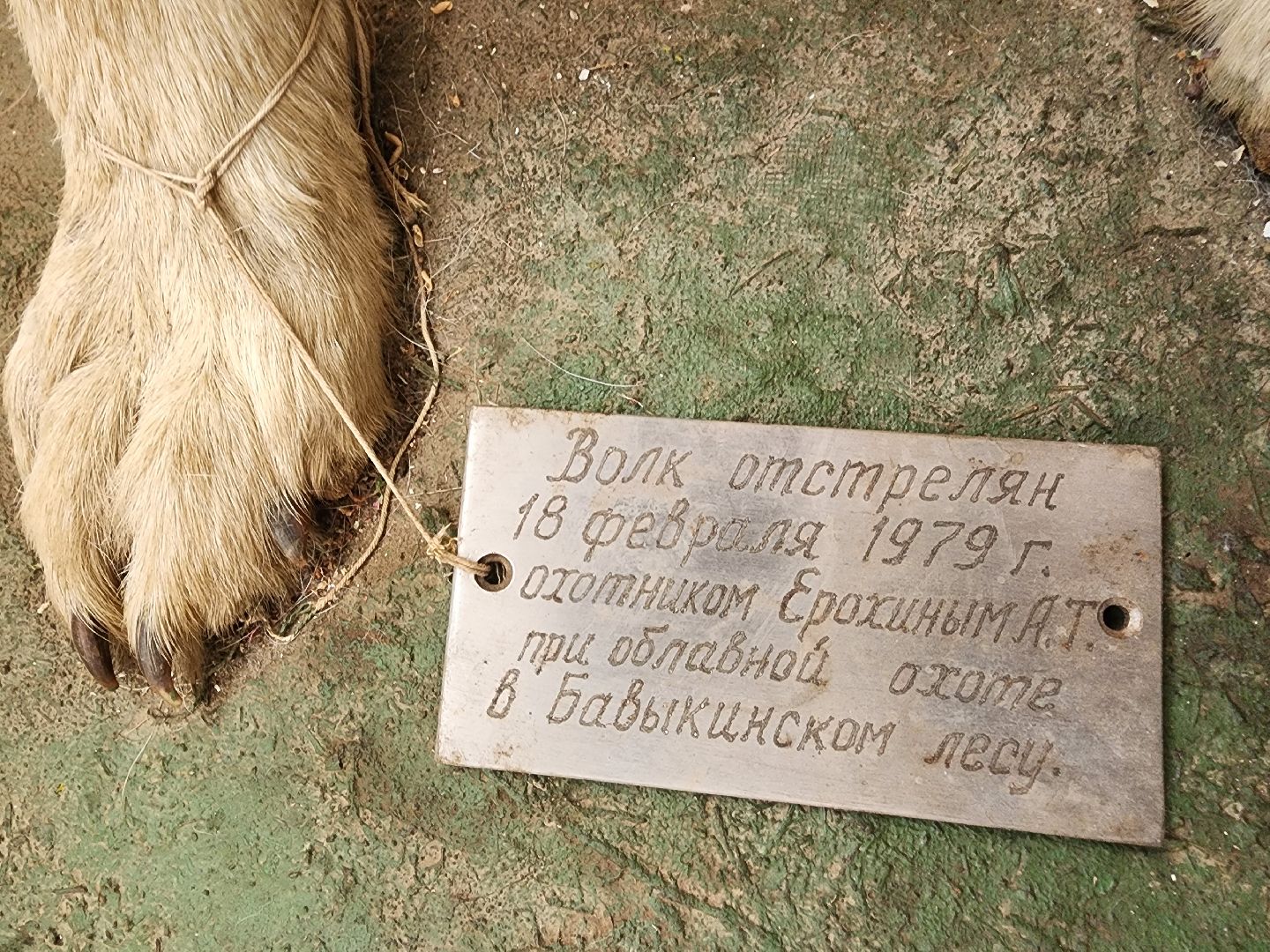 зарайск, весенняя охота, охота на селезня, охота на гуся, охота на вальдшнепа,Открытие охоты в Зарайске,