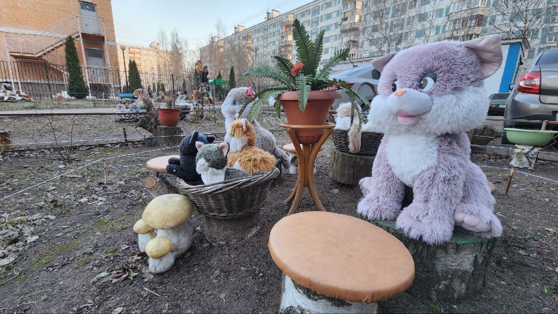 Дмитров, Благоустройство, Люди, Общество,