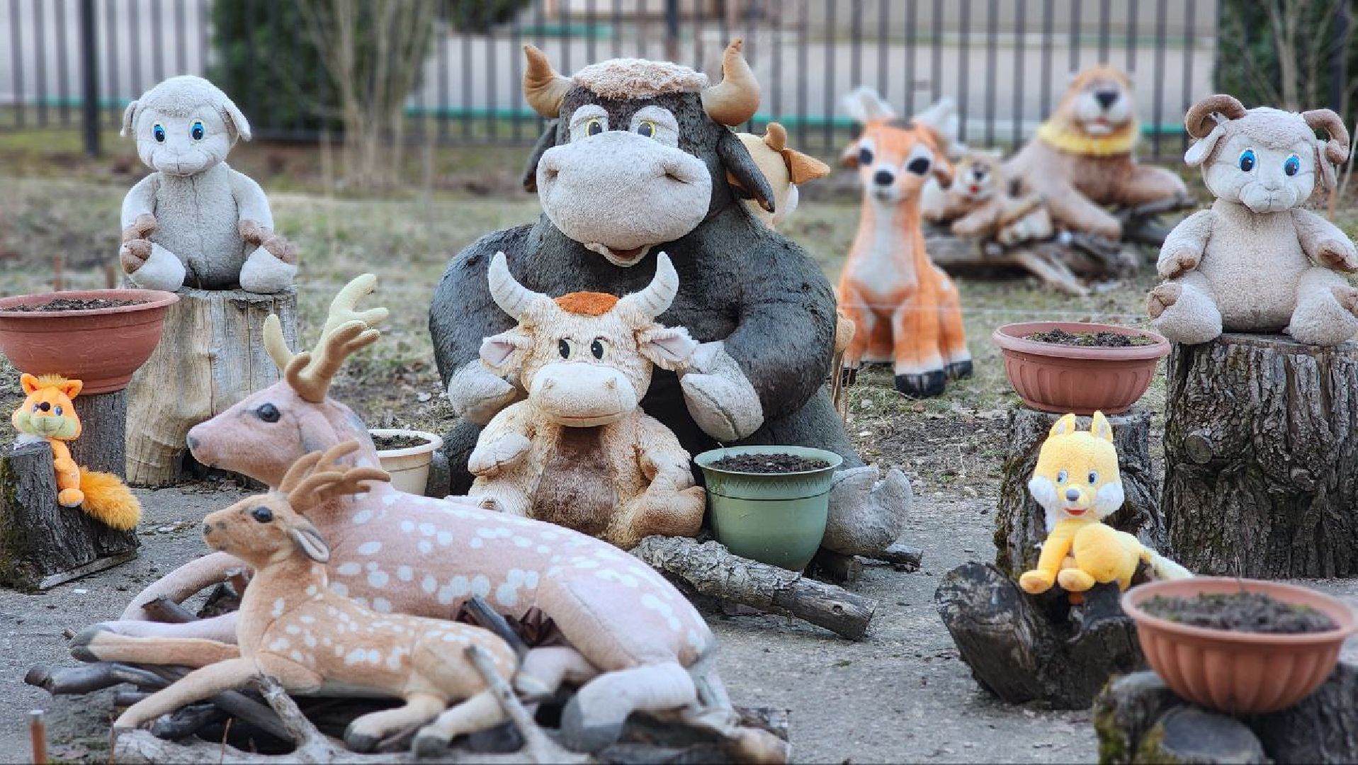 Дмитров, Благоустройство, Люди, Общество,