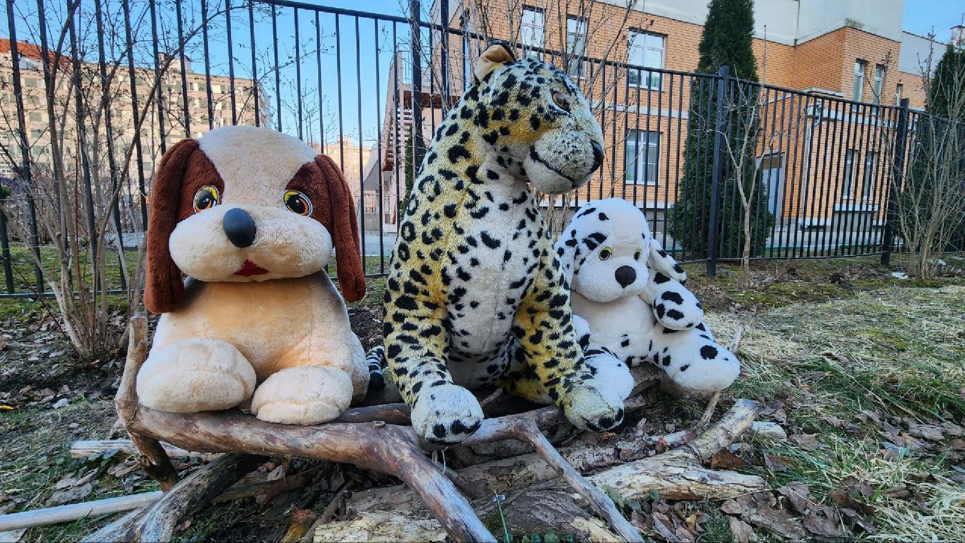 Дмитров, Благоустройство, Люди, Общество,