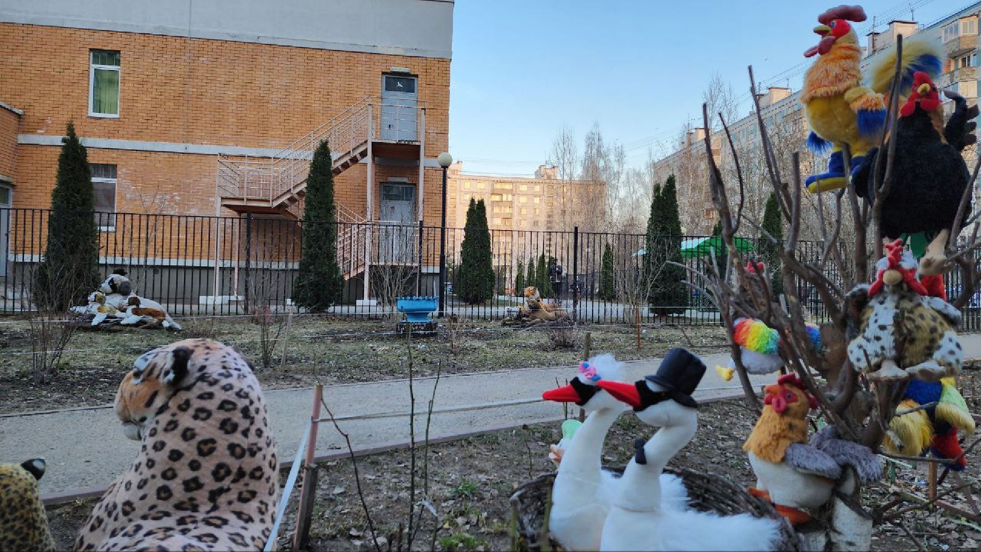 Дмитров, Благоустройство, Люди, Общество,