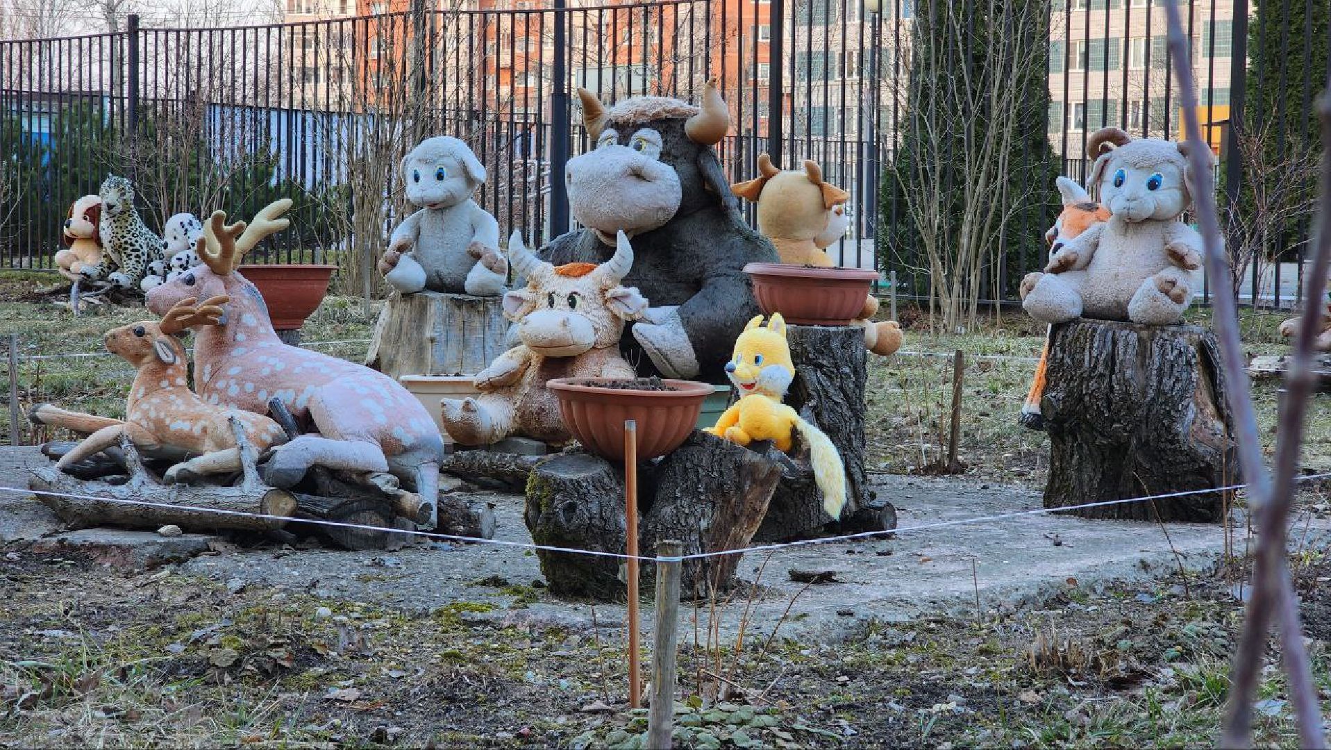 Дмитров, Благоустройство, Люди, Общество,