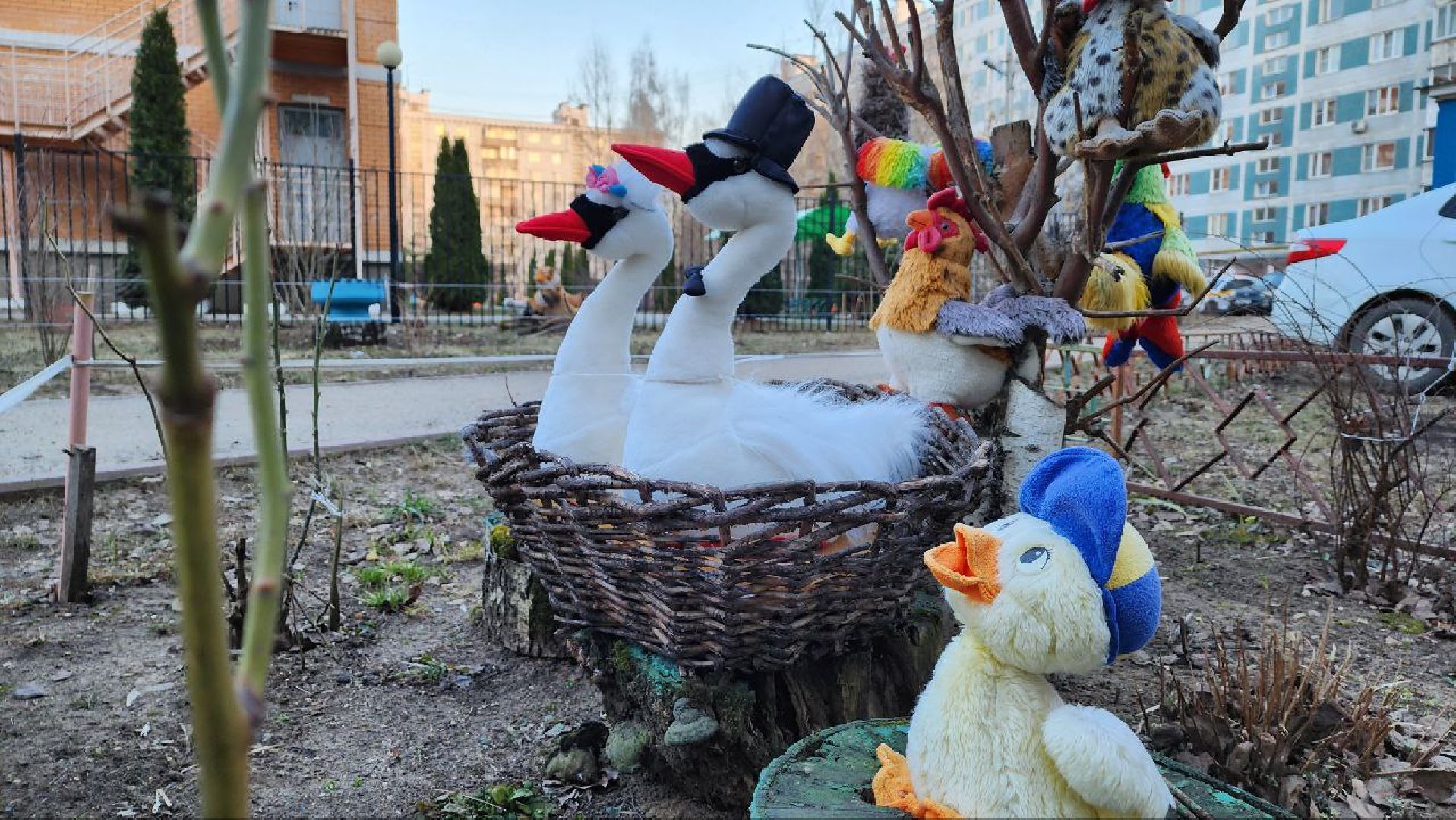 Дмитров, Благоустройство, Люди, Общество,