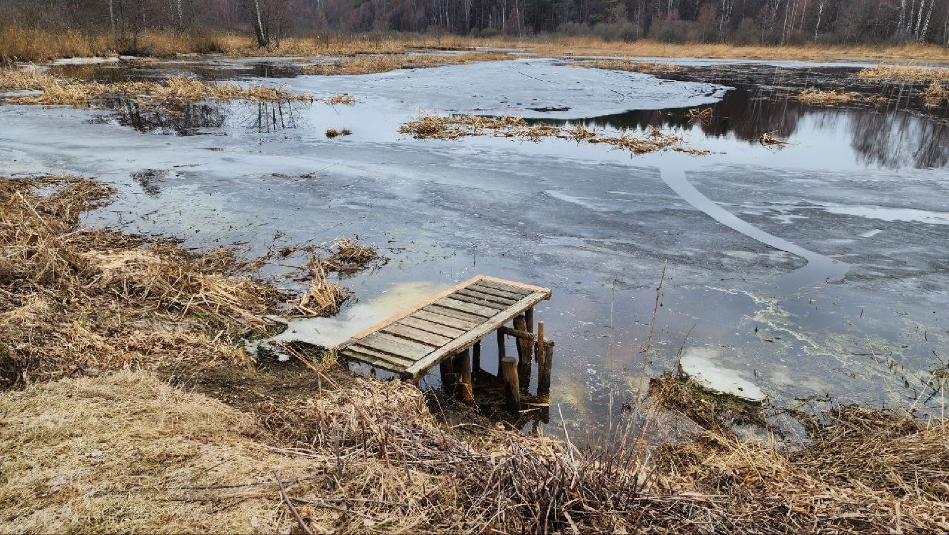 Талдом, Запрудня, Дамба, Парк Солнечный берег,