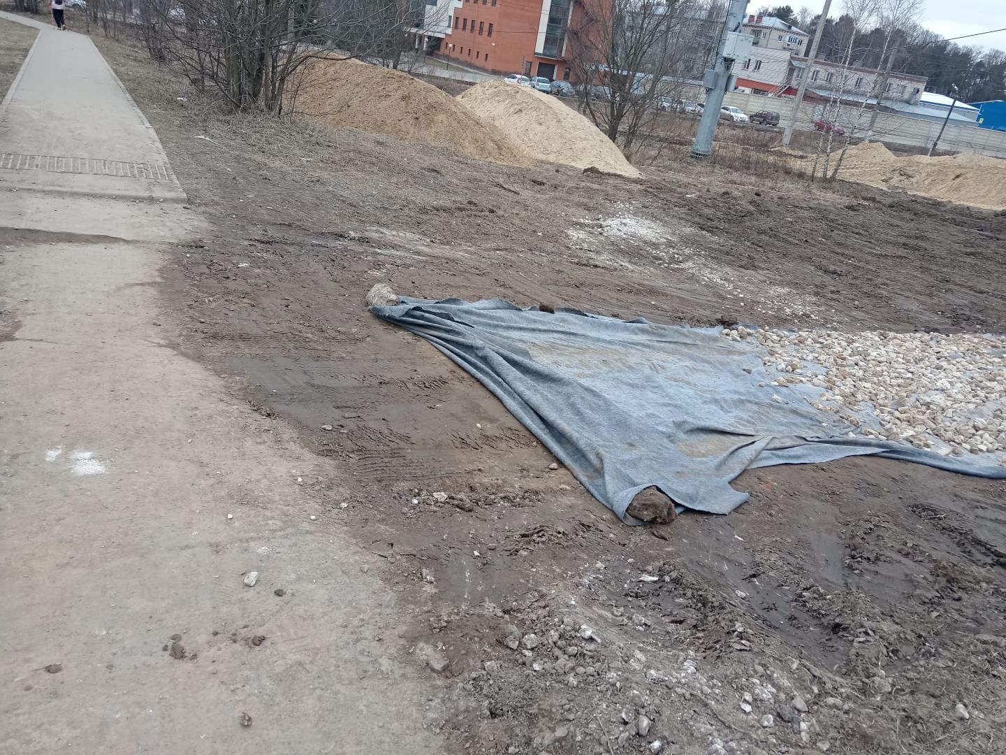 красноармейск, городской округ пушкинский, банный лес, лесопарк,