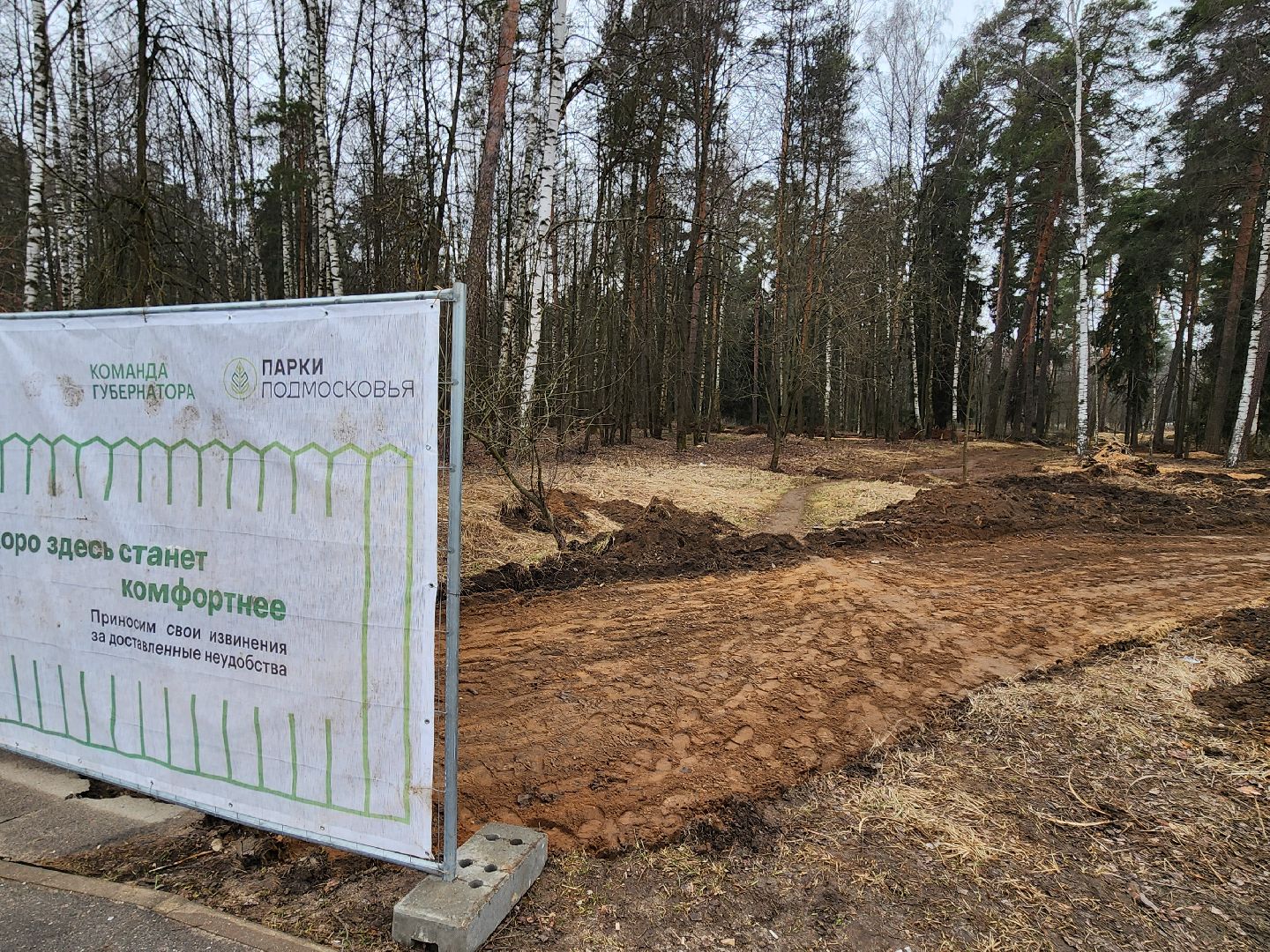 красноармейск, городской округ пушкинский, банный лес, лесопарк,