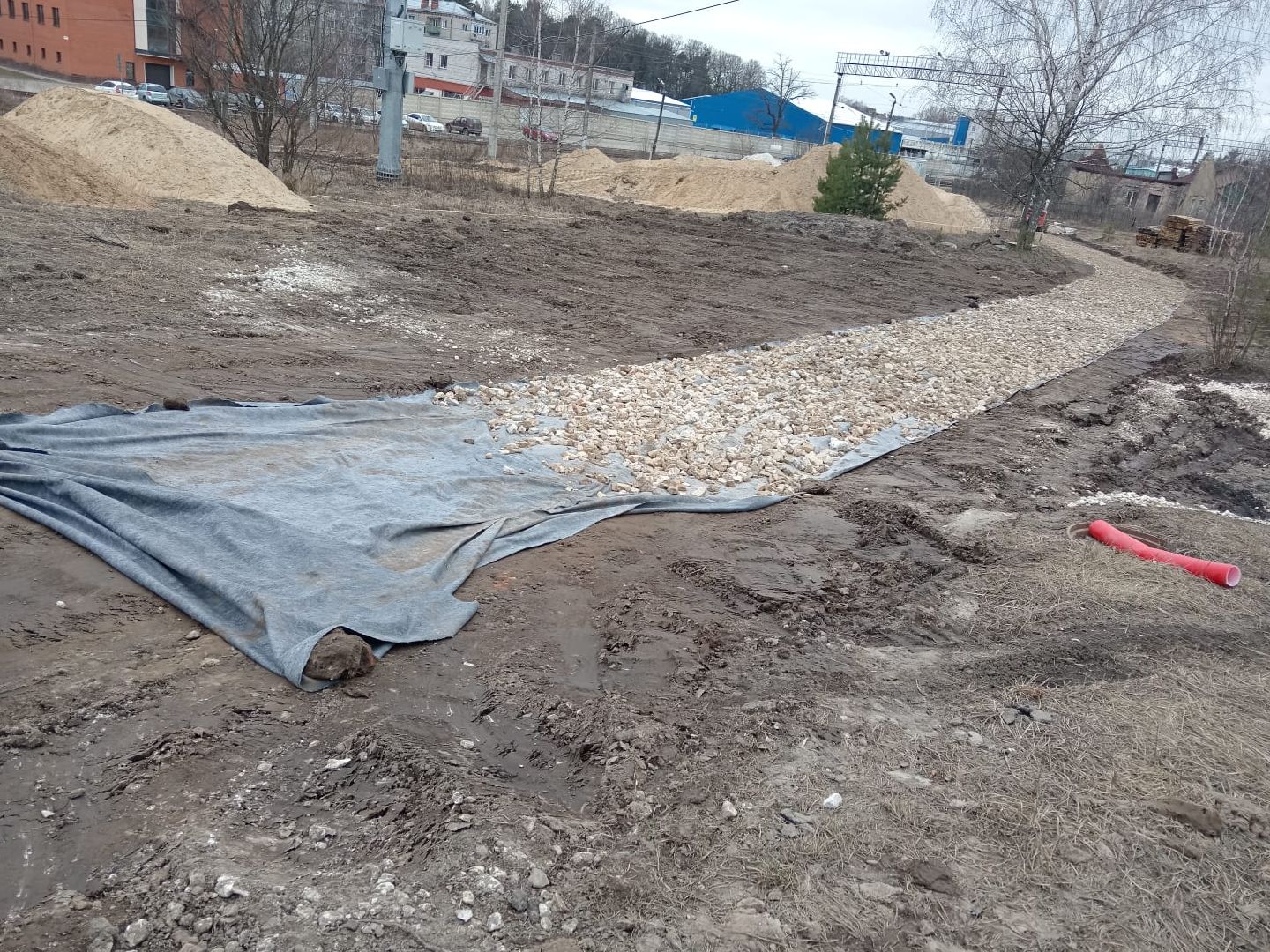 красноармейск, городской округ пушкинский, банный лес, лесопарк,