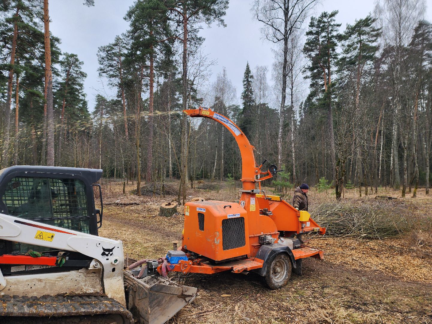 красноармейск, городской округ пушкинский, банный лес, лесопарк,