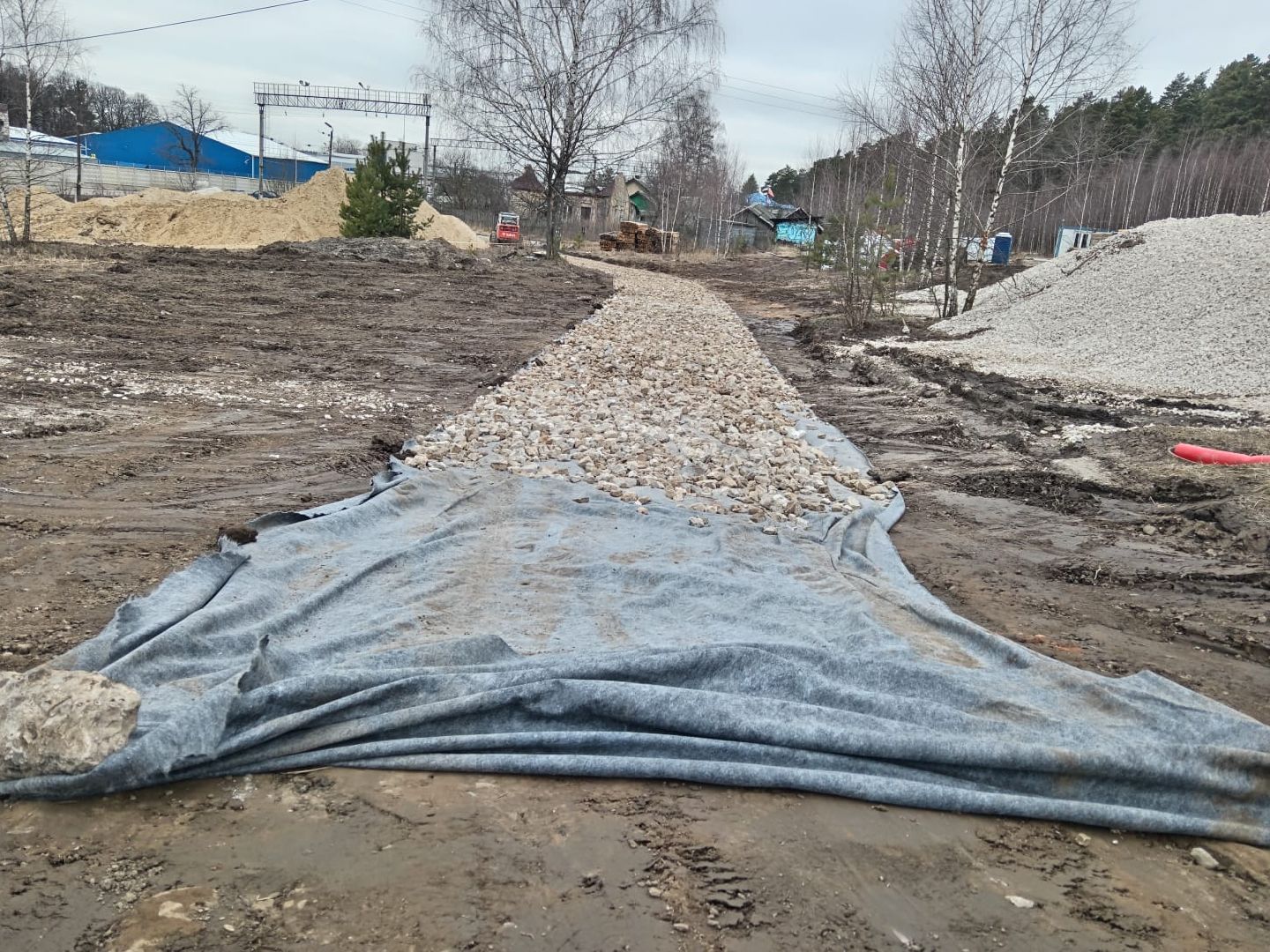 красноармейск, городской округ пушкинский, банный лес, лесопарк,