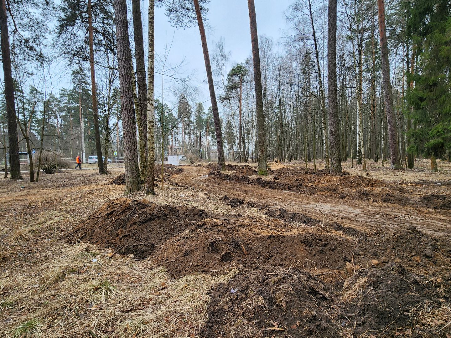 красноармейск, городской округ пушкинский, банный лес, лесопарк,