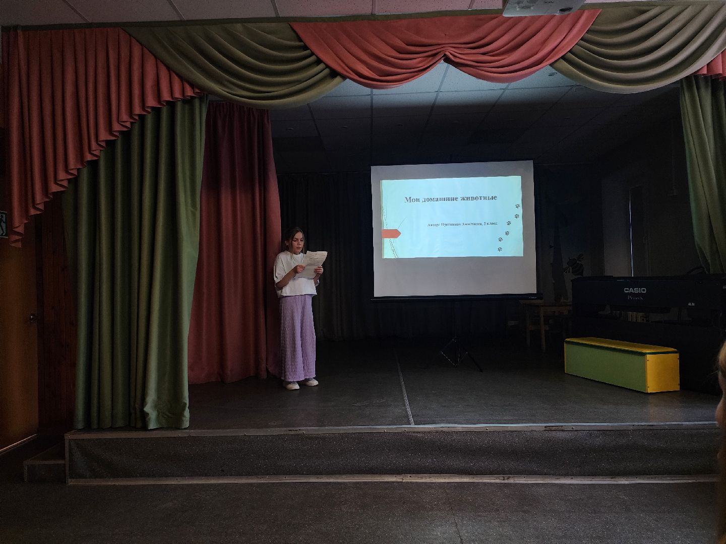 красноармейск, городской округ пушкинский, юные исследователи, занимательная наука, академия развития,