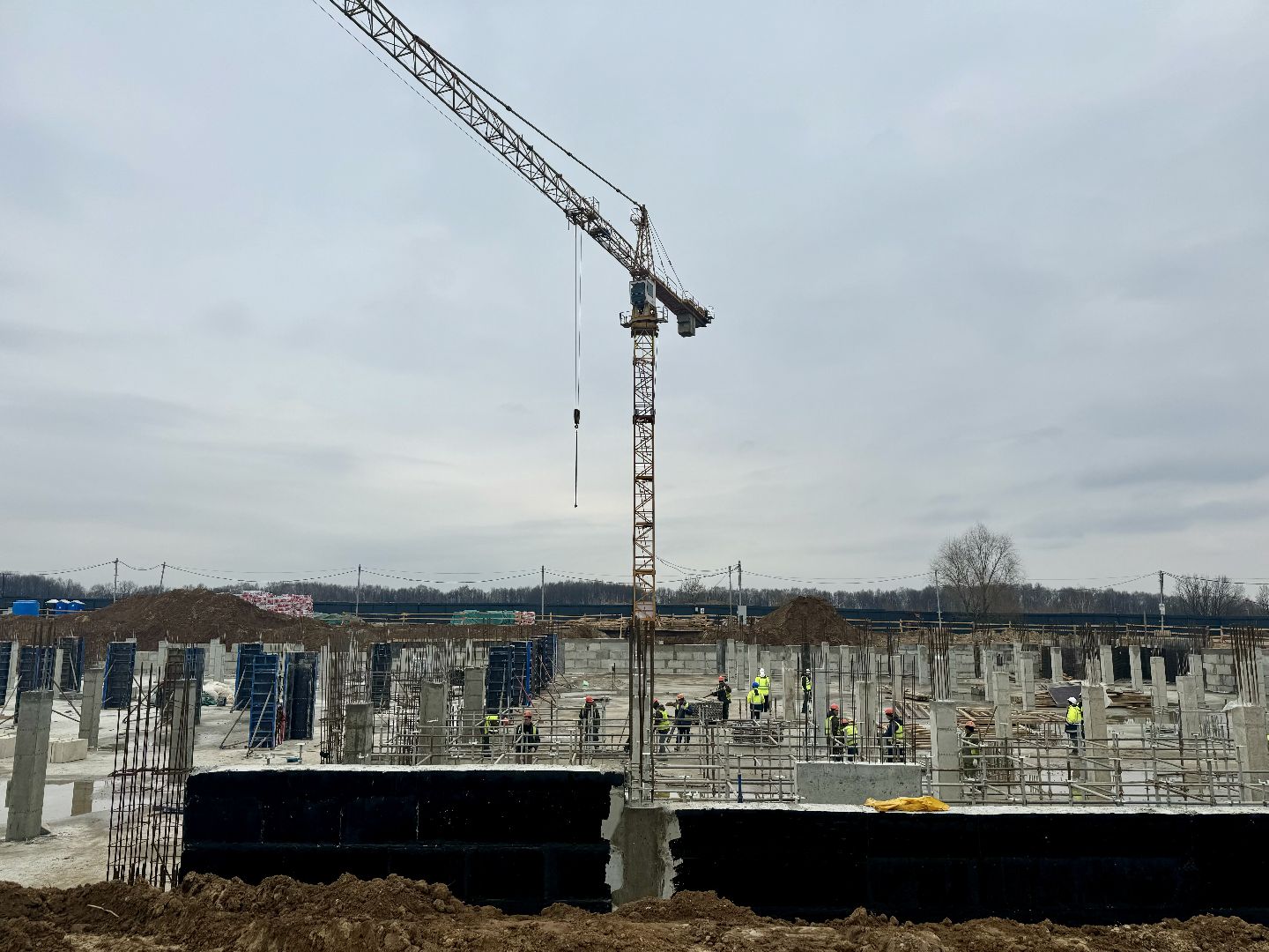 строительство школы, девелоперская компания брусника, ленинский городской округ, ново-молоково,