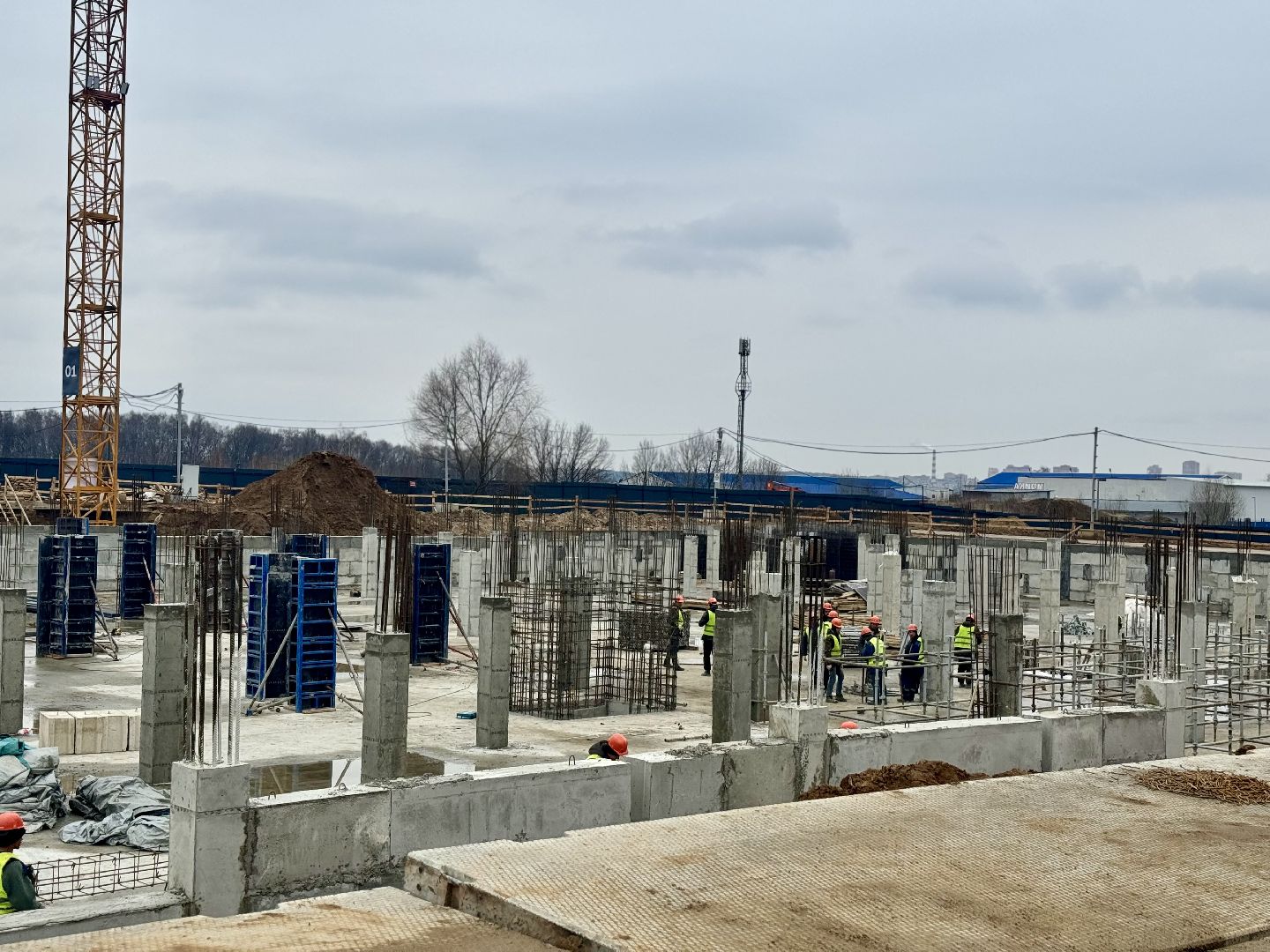 строительство школы, девелоперская компания брусника, ленинский городской округ, ново-молоково,