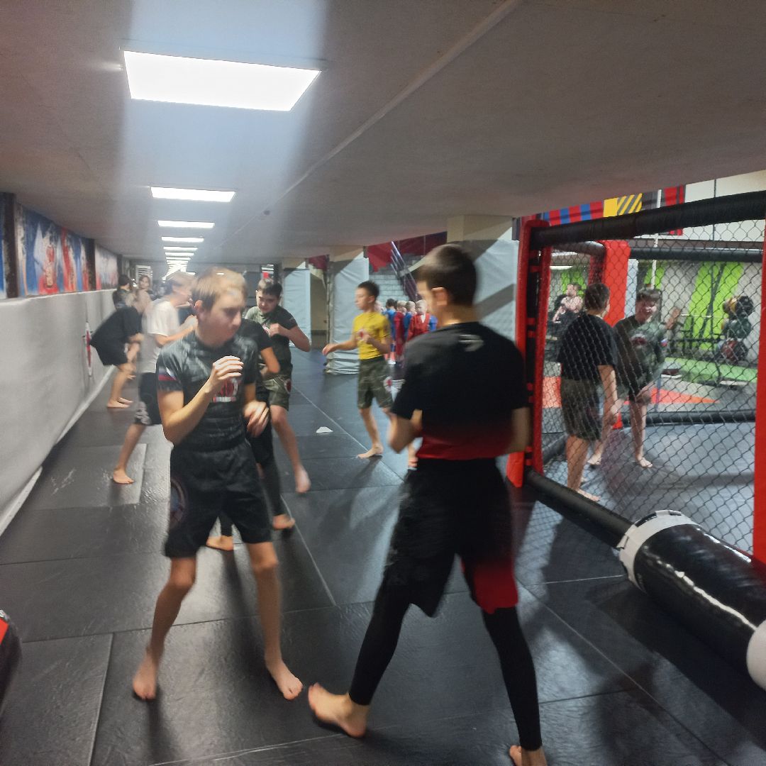 сергиев посад, ММА,первенство,