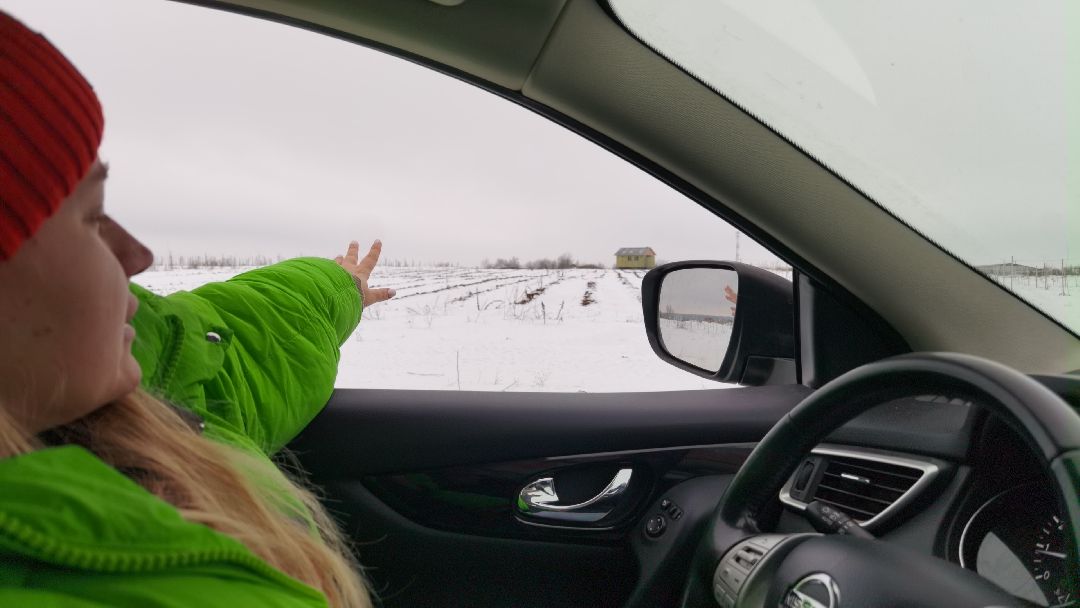 Коломна, общество