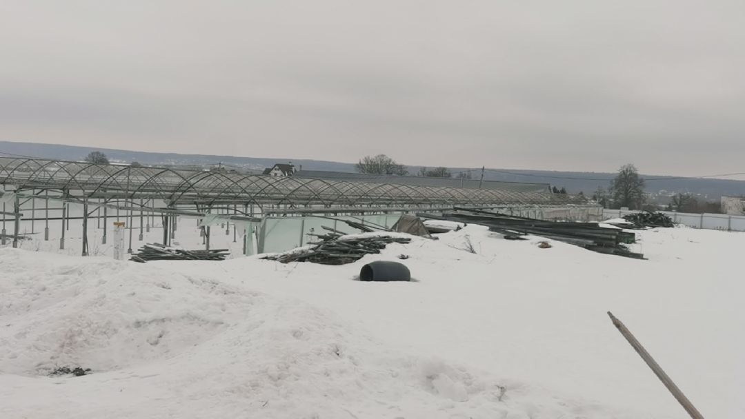 Коломна, общество