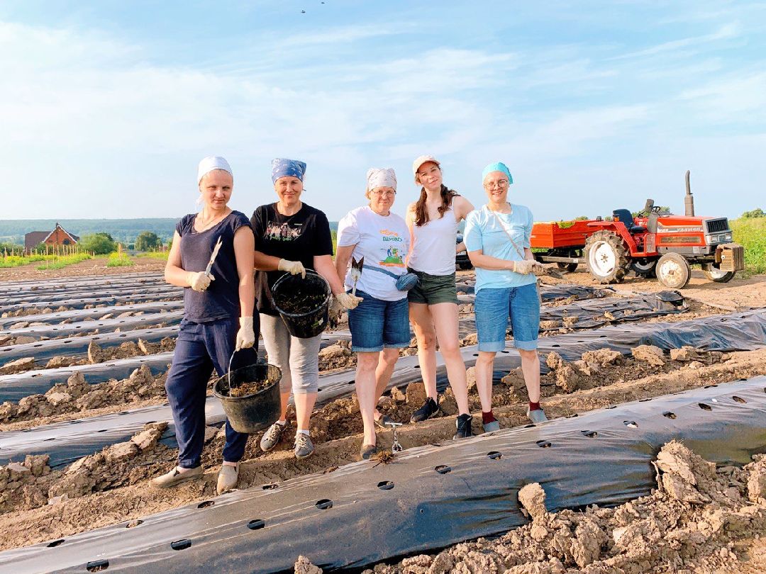 Коломна, общество