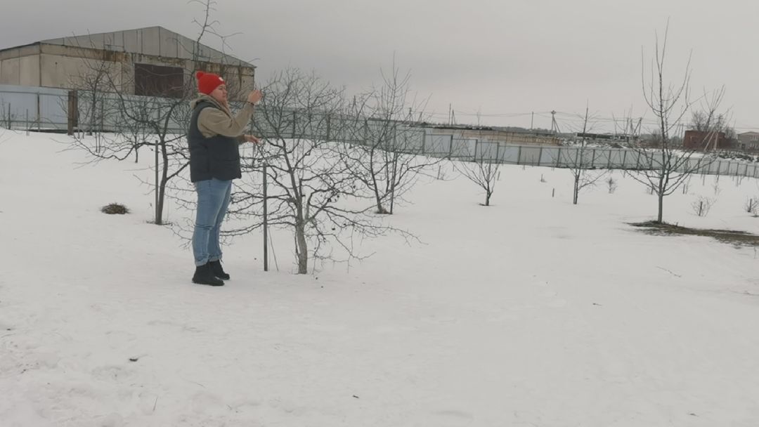 Коломна, общество