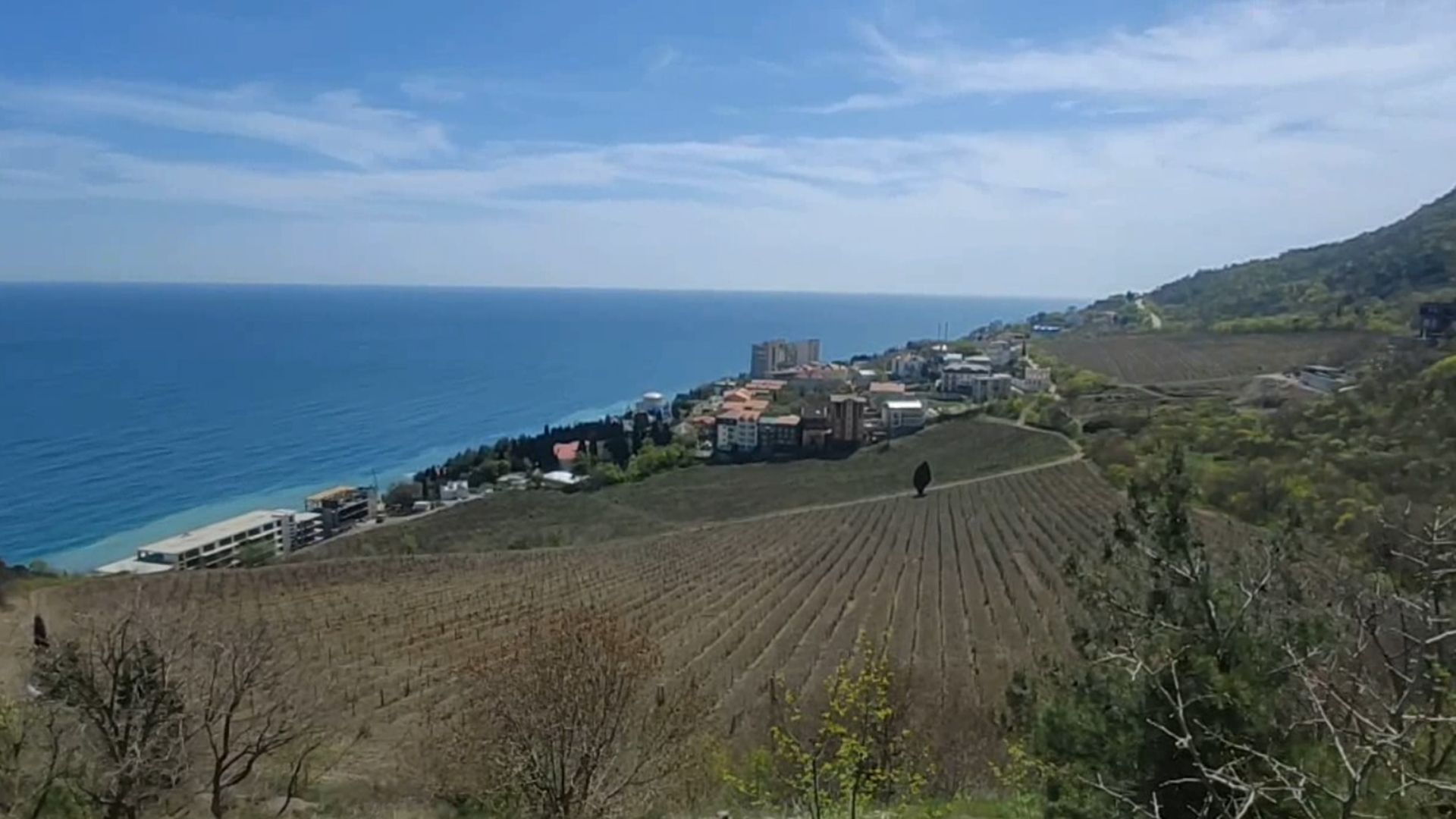 Лобня, культура, Крым