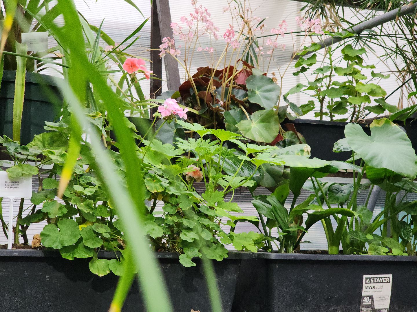 Подольск, Школа 29, Проект, образование в подмосковье,