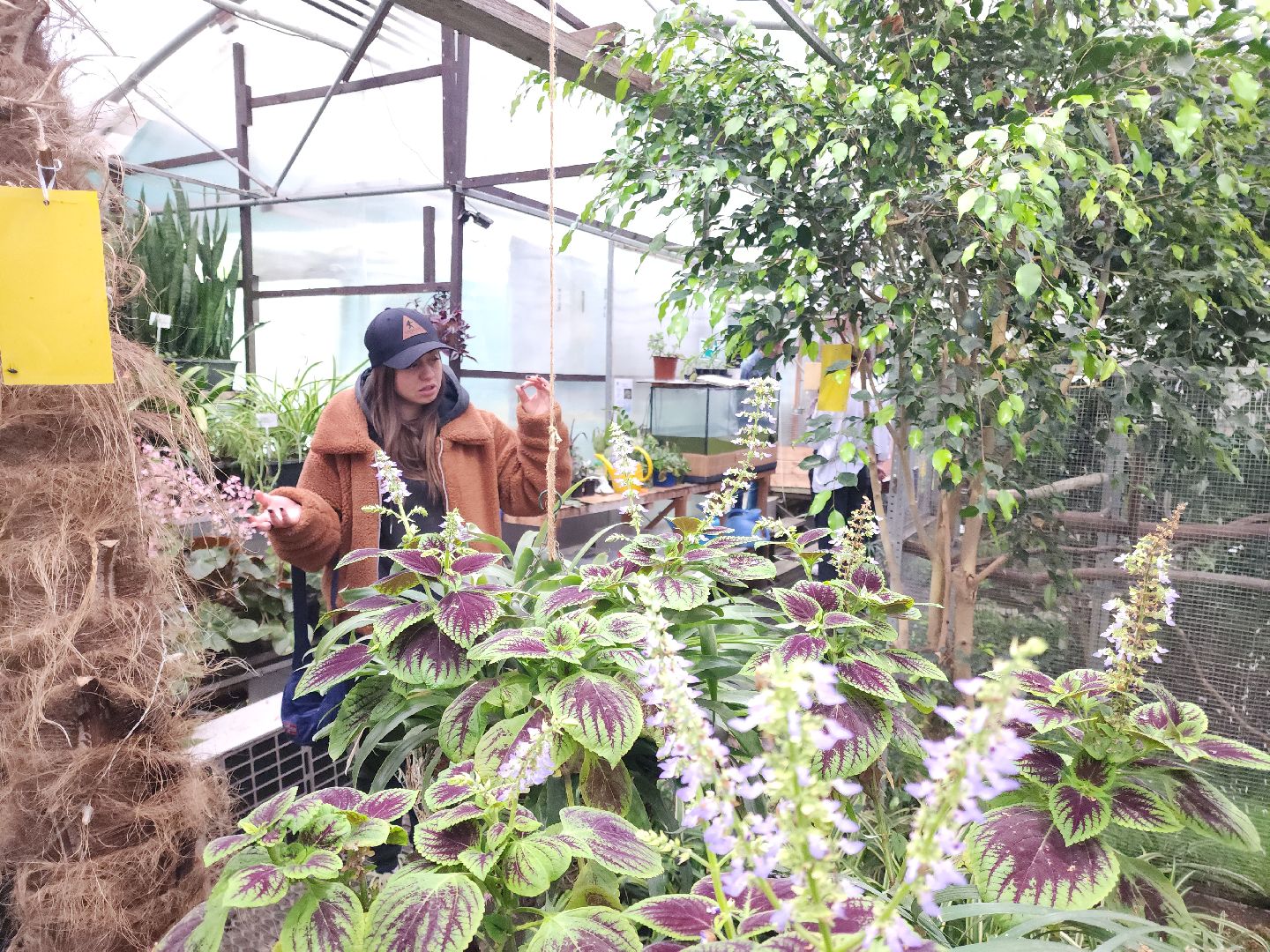 Подольск, Школа 29, Проект, образование в подмосковье,