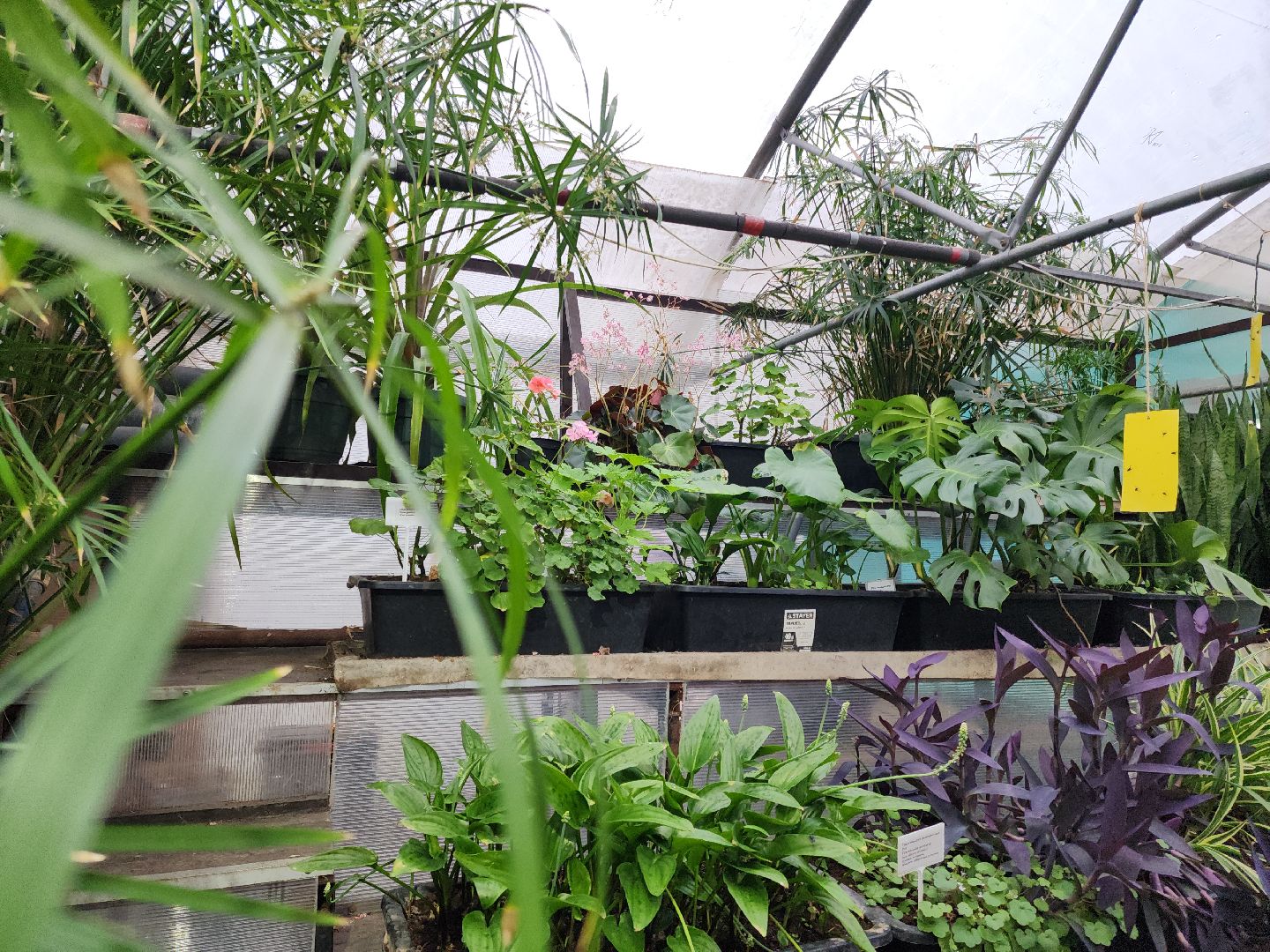 Подольск, Школа 29, Проект, образование в подмосковье,