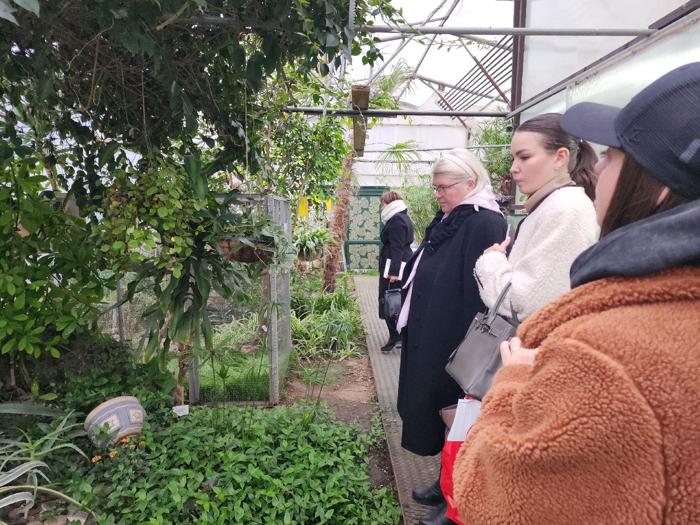 Подольск, Школа 29, Проект, образование в подмосковье,