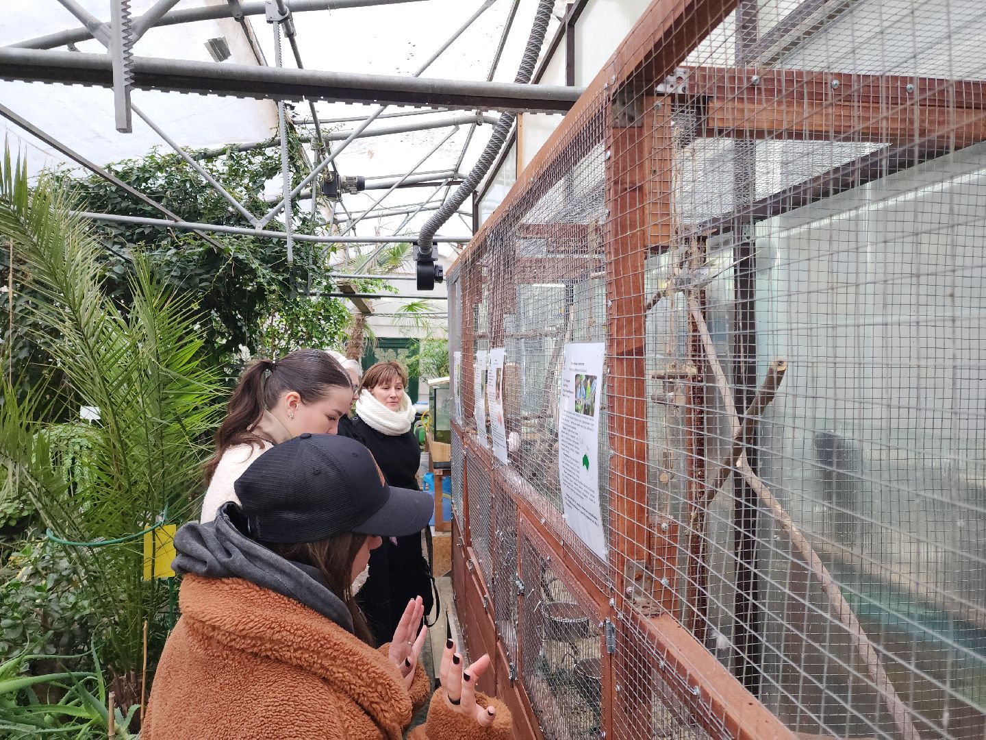 Подольск, Школа 29, Проект, образование в подмосковье,