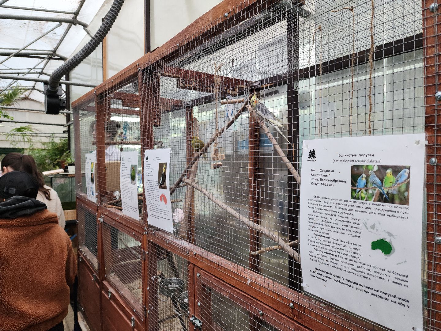 Подольск, Школа 29, Проект, образование в подмосковье,