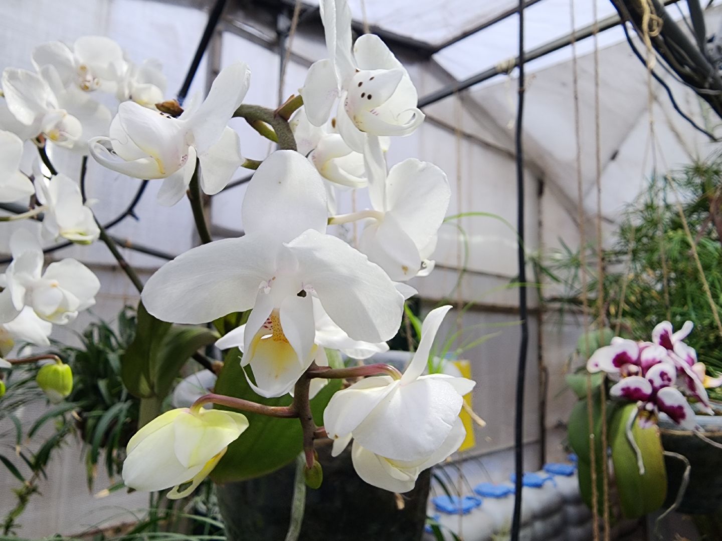 Подольск, Школа 29, Проект, образование в подмосковье,