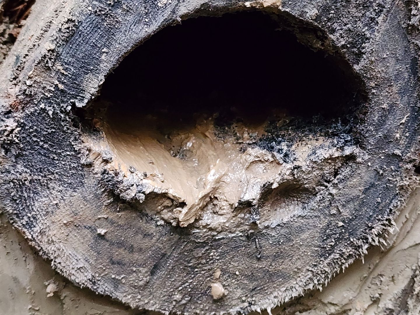 сергиев посад, троице-сергиева лавра, раскопки, сергиево-посадский музей-заповедник,древний водопровод,