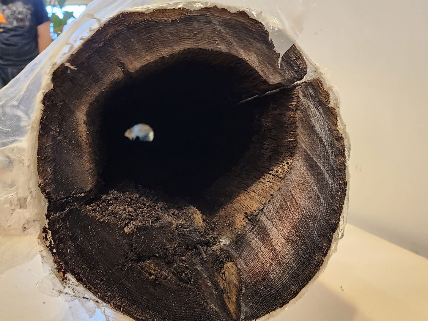 сергиев посад, троице-сергиева лавра, раскопки, сергиево-посадский музей-заповедник,древний водопровод,