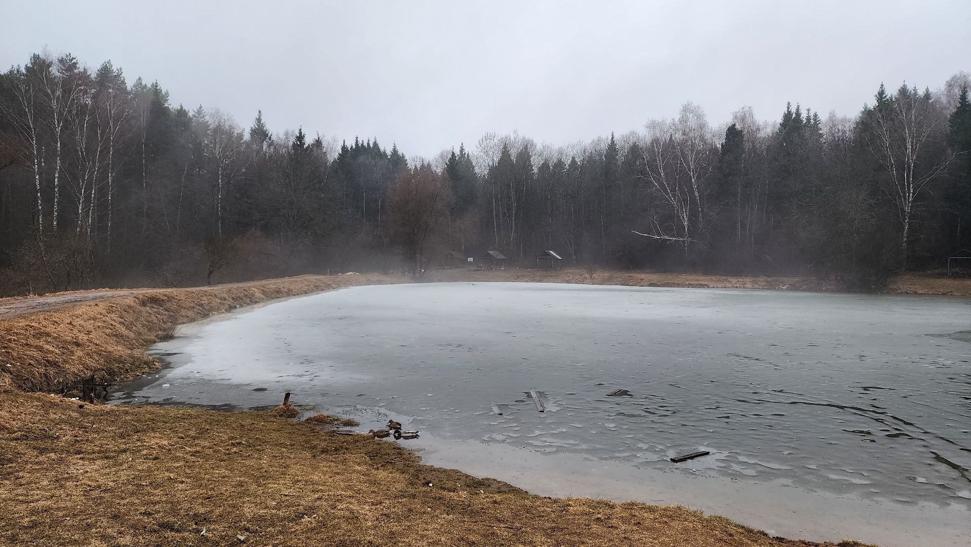 истра, выездная администрация, общество,