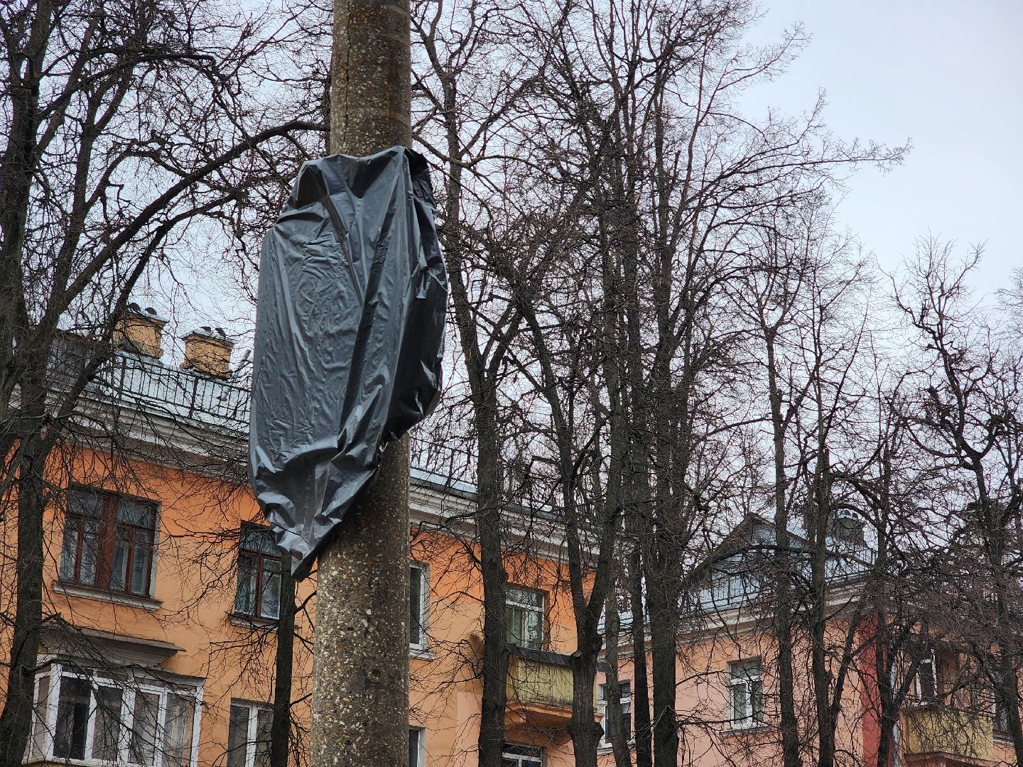 платные парковки, парковка, транспорт, автомобили,