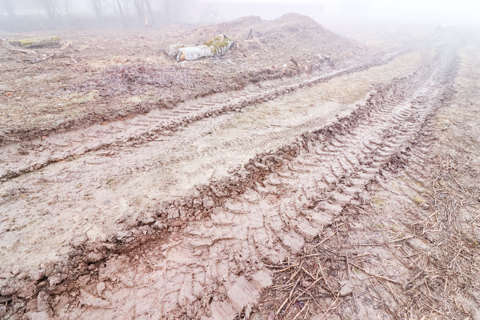 Клин, общество, ремонт дорог, выездная администрация, благоустройство,