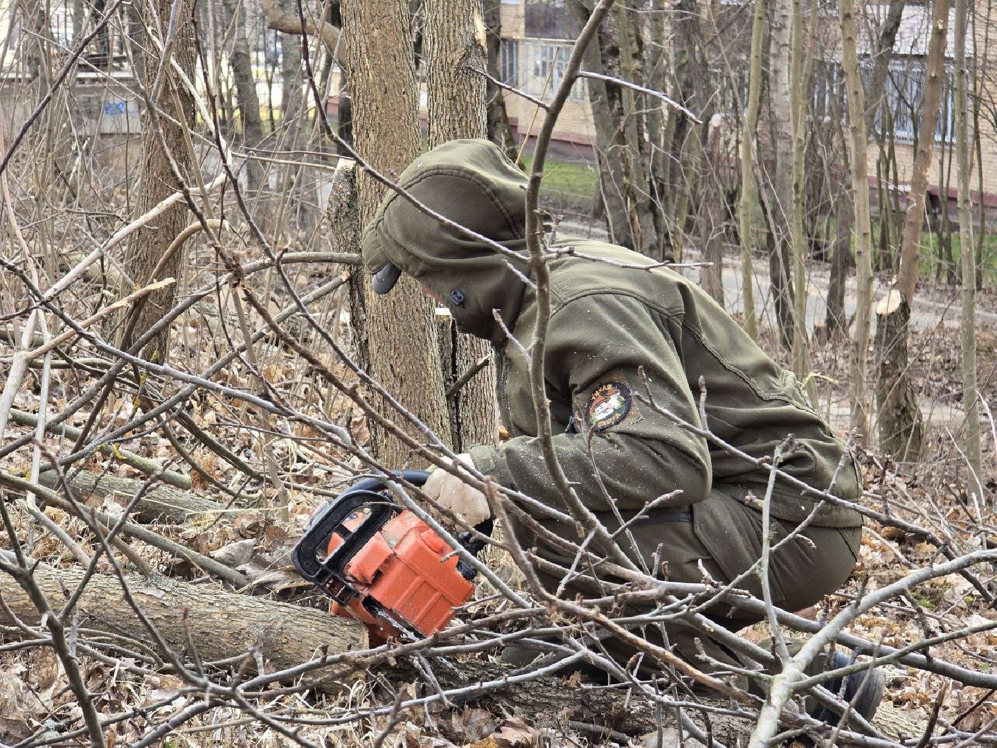 можайск, можайский муниципальный округ, подмосковье, санитарная вырубка, жкх, коммунальщики,