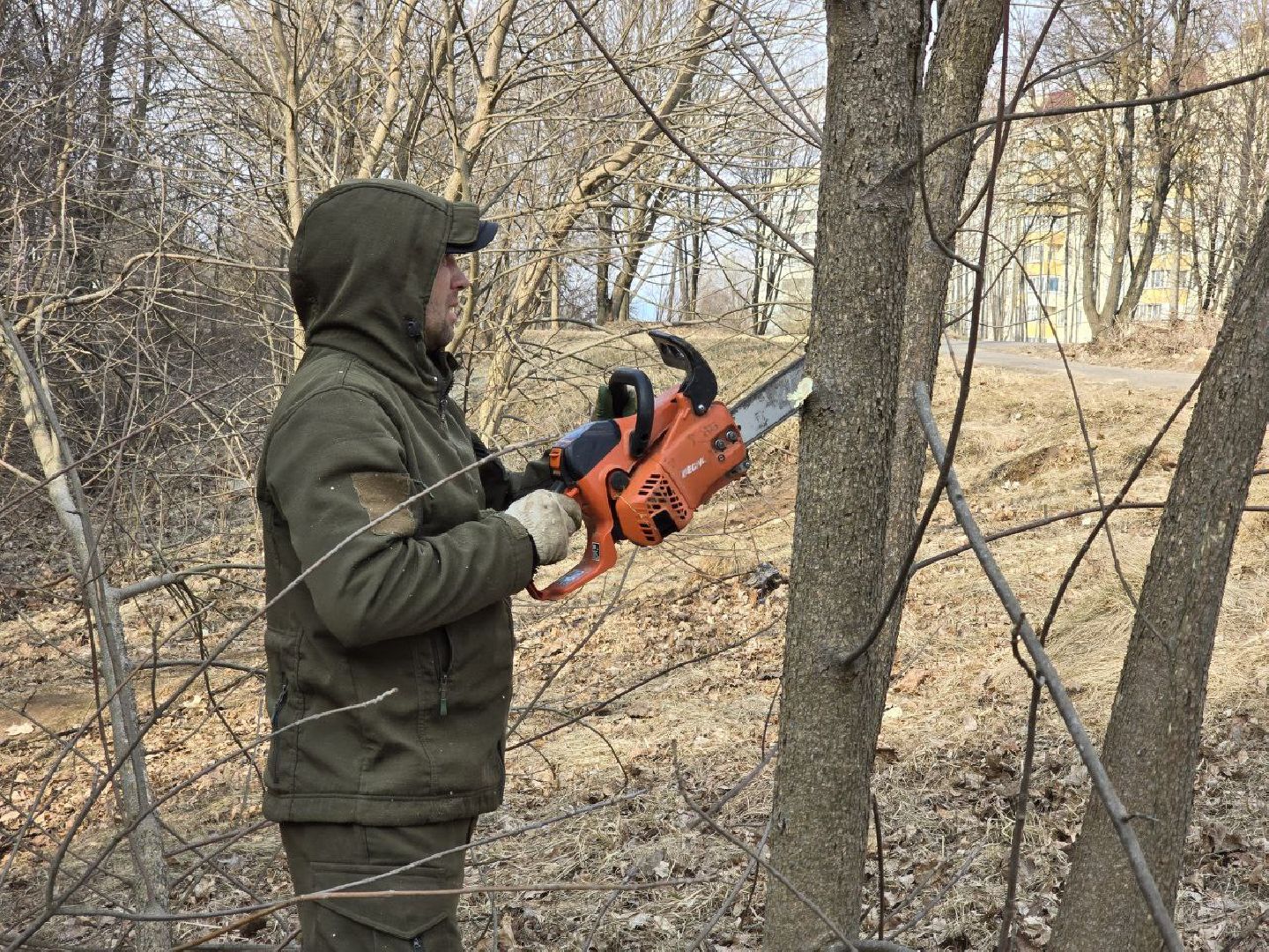 можайск, можайский муниципальный округ, подмосковье, санитарная вырубка, жкх, коммунальщики,