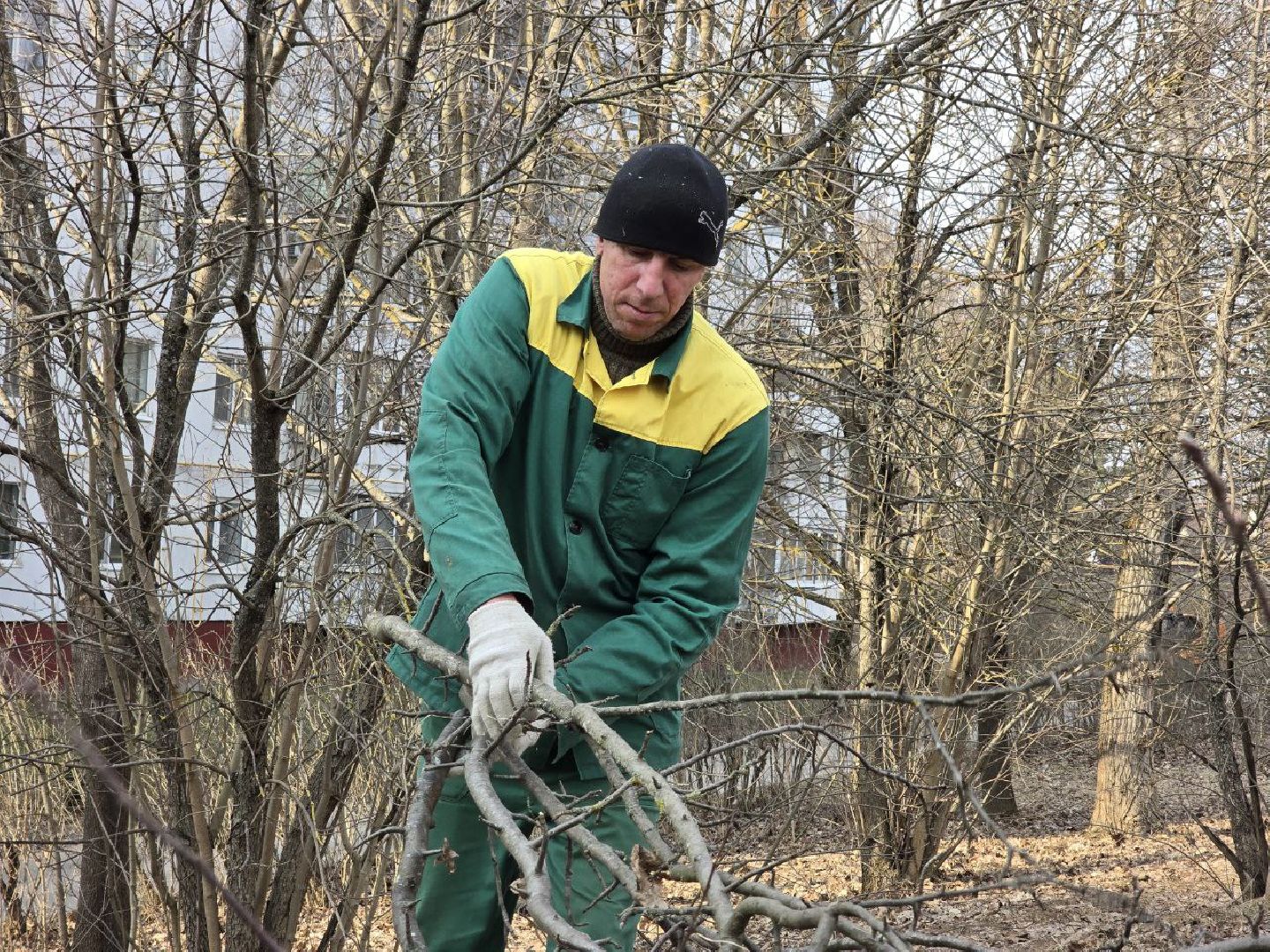 можайск, можайский муниципальный округ, подмосковье, санитарная вырубка, жкх, коммунальщики,