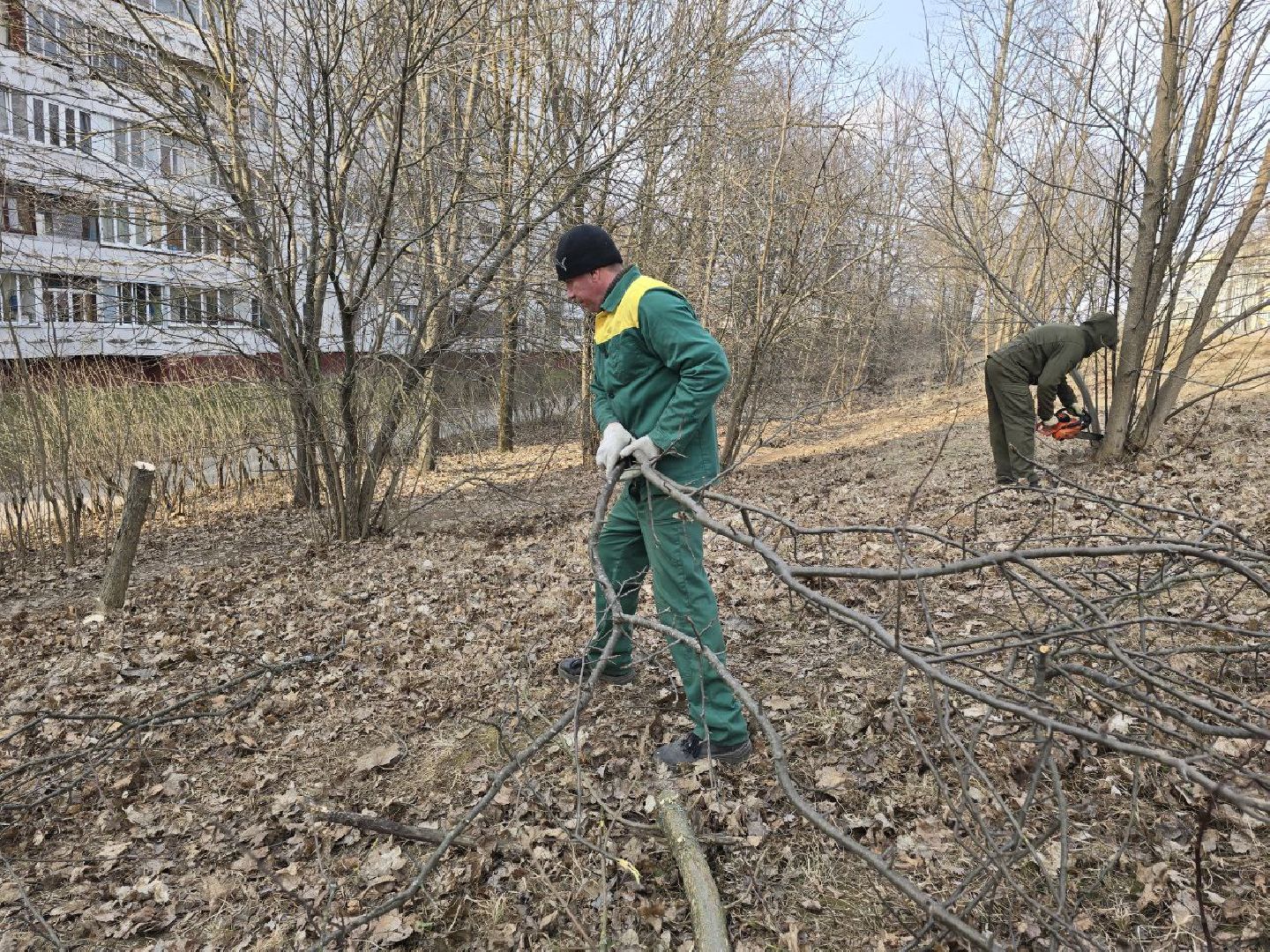 можайск, можайский муниципальный округ, подмосковье, санитарная вырубка, жкх, коммунальщики,