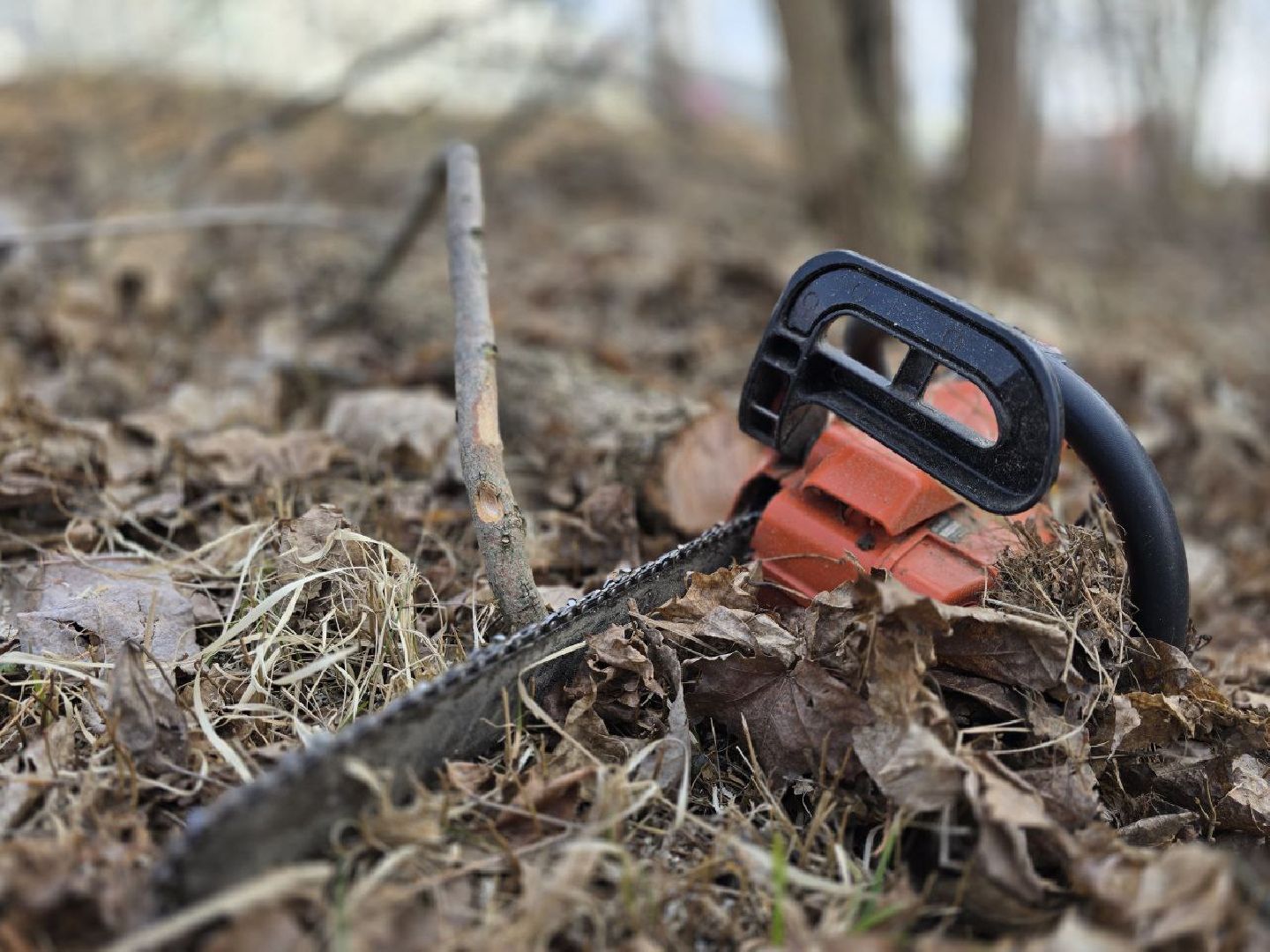 можайск, можайский муниципальный округ, подмосковье, санитарная вырубка, жкх, коммунальщики,